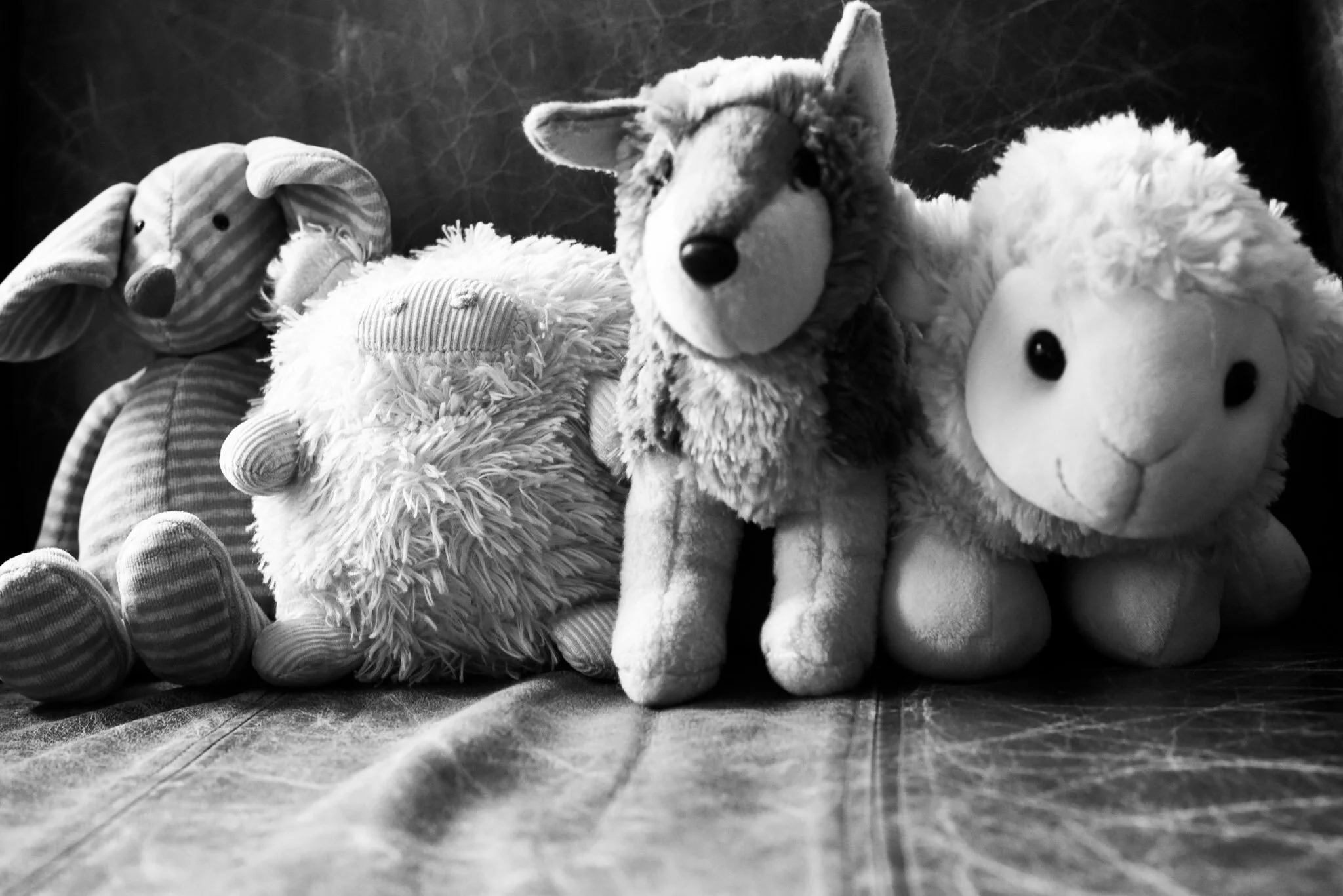 Quarantine dispatch #1