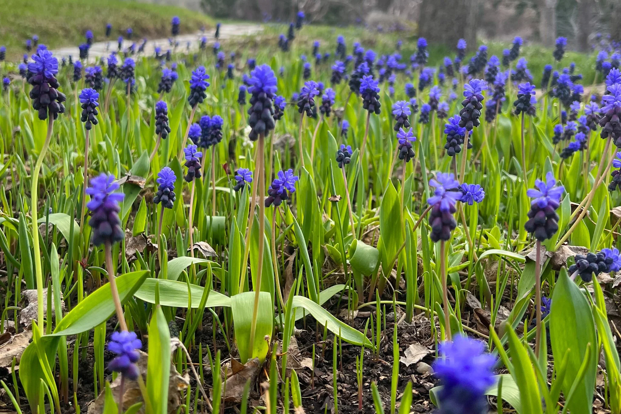 Summer 2022 Bucket List