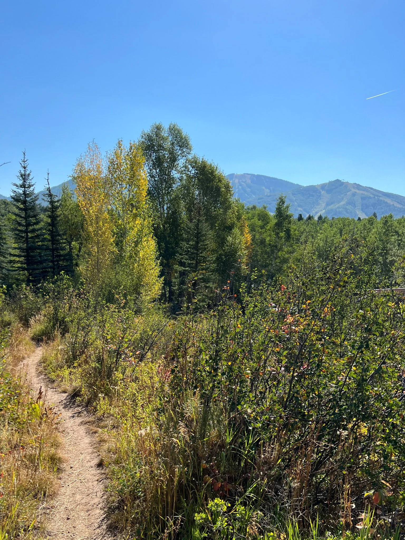 Fall 2022 Bucket List