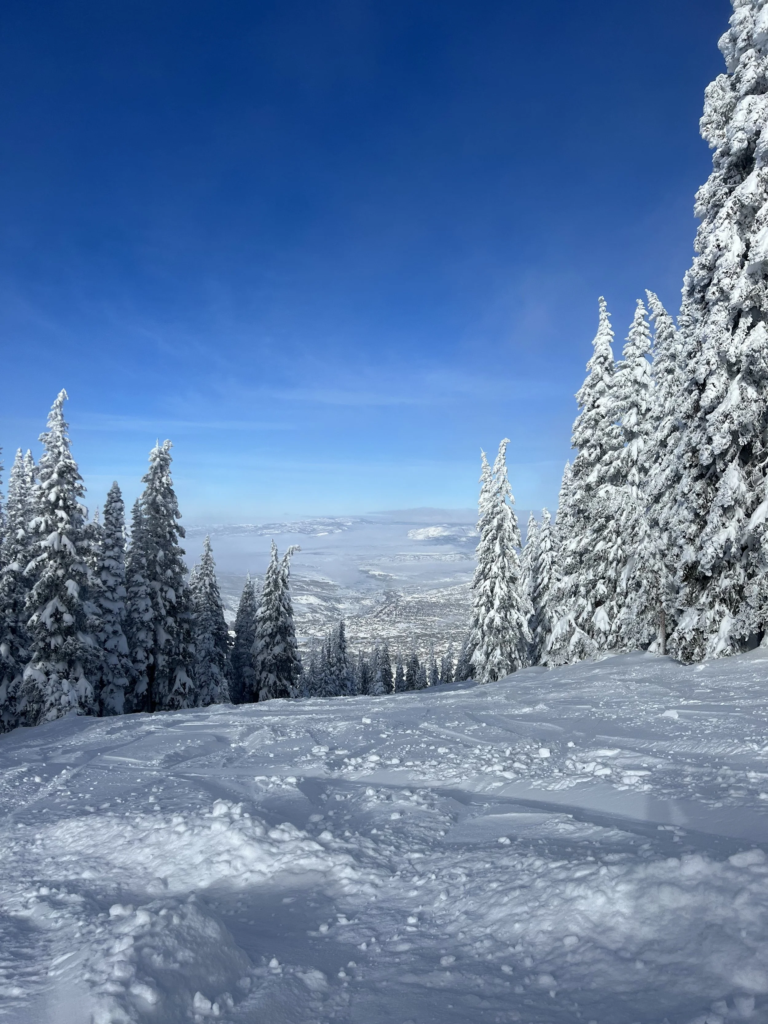 2022 Summary—And Plans for 2023