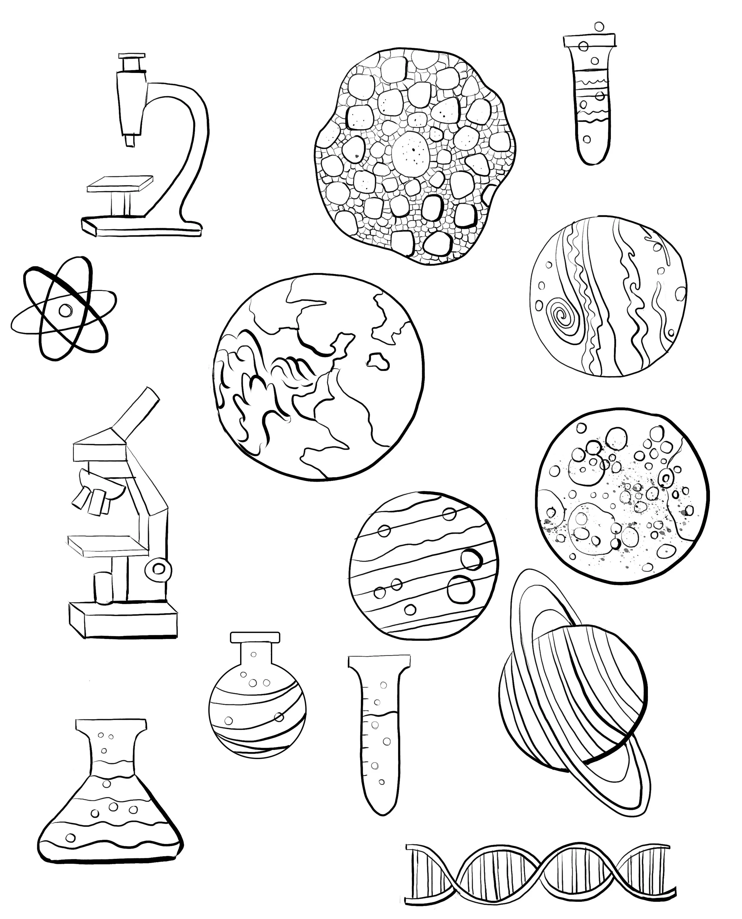 MOS 2_science 2.jpg