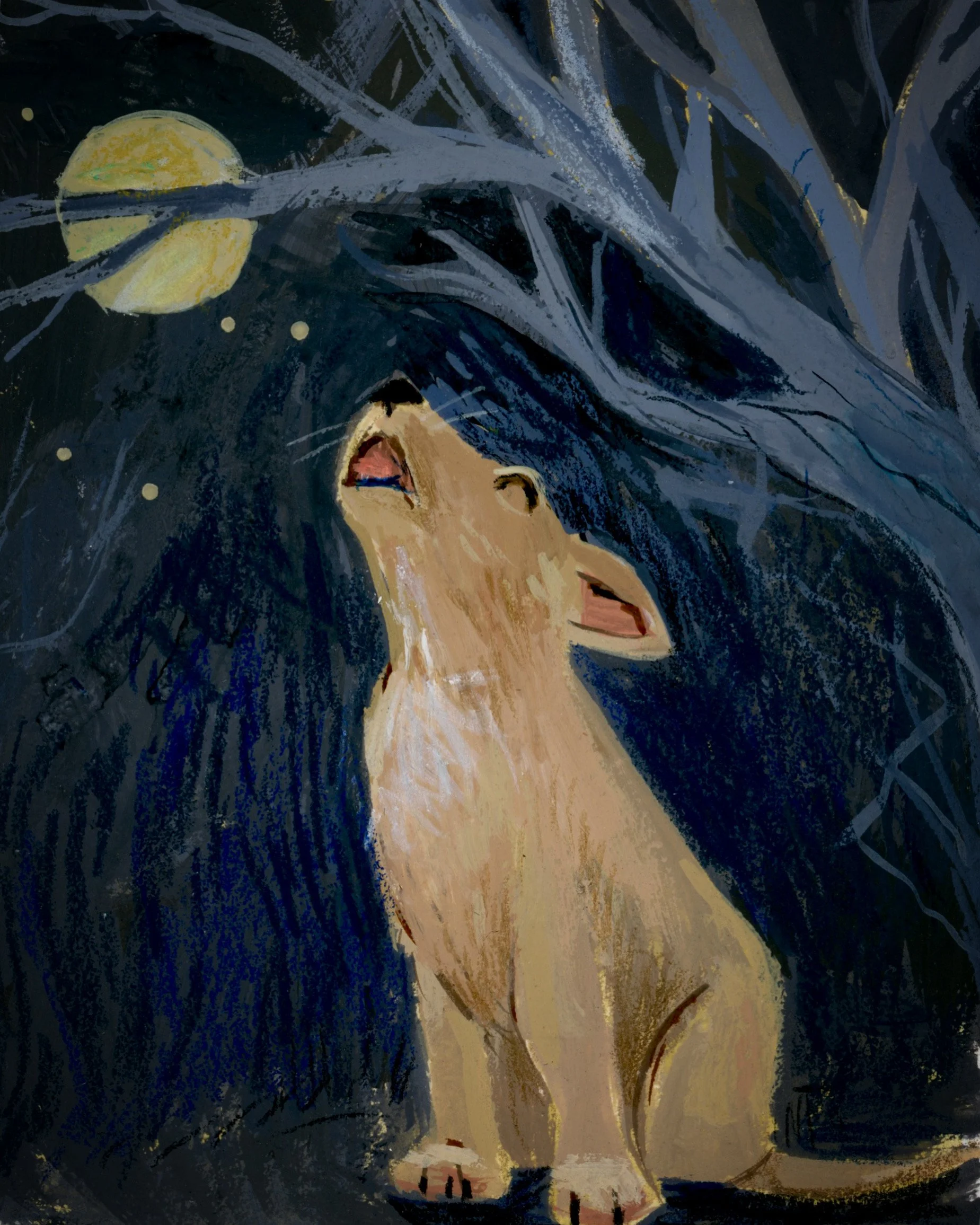 3EFF1318-BBC3-4DB2-9969-EB2AA181671E 2.JPG