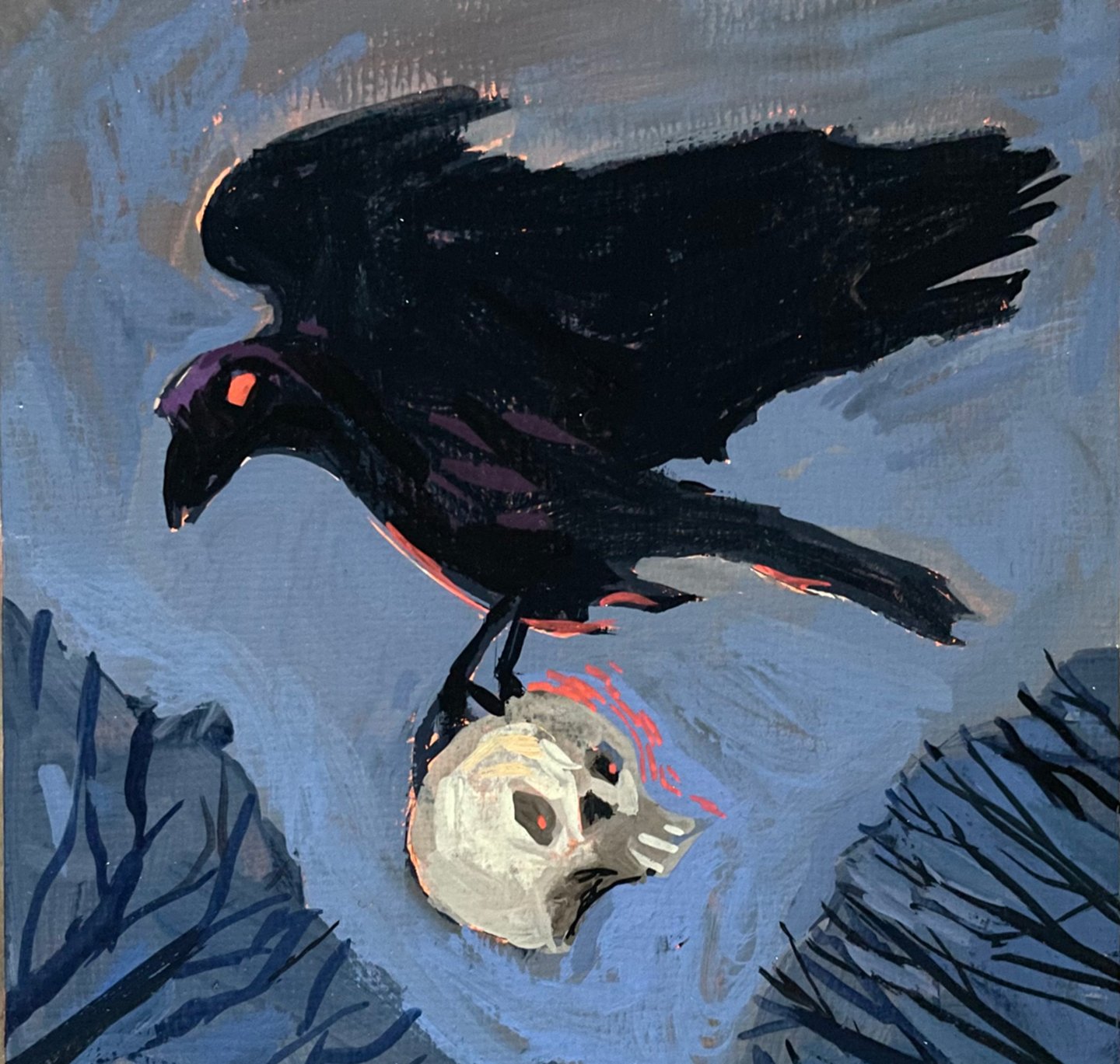 Raven.jpg