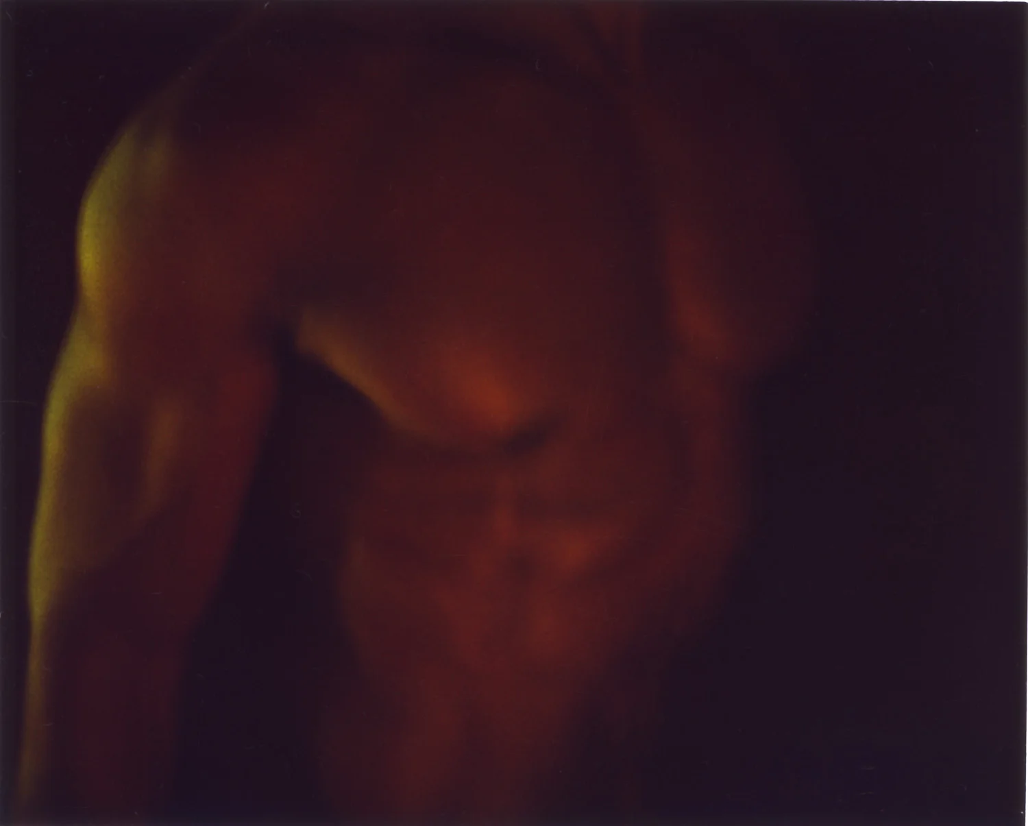 t-bone torso copy.jpg