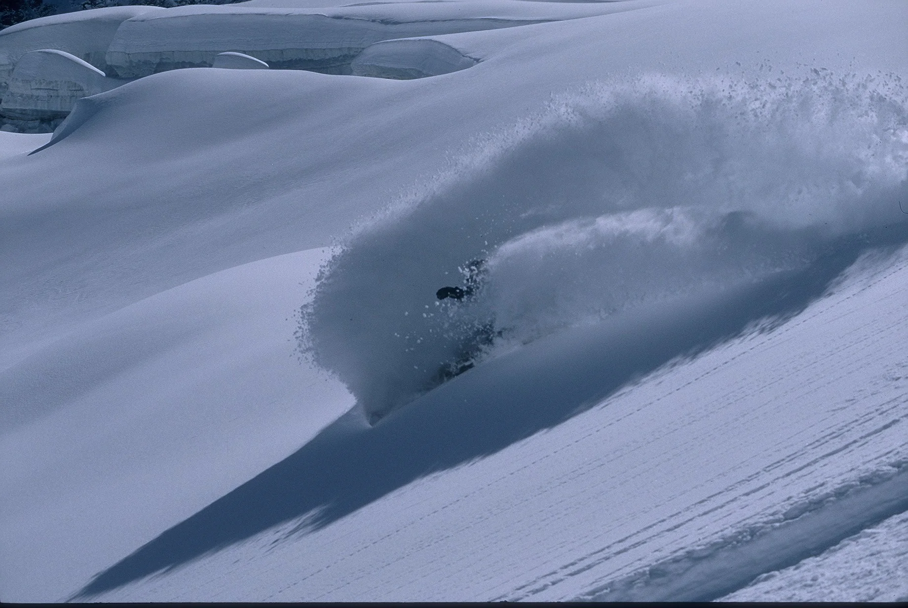 F1000016 - Copie.JPG