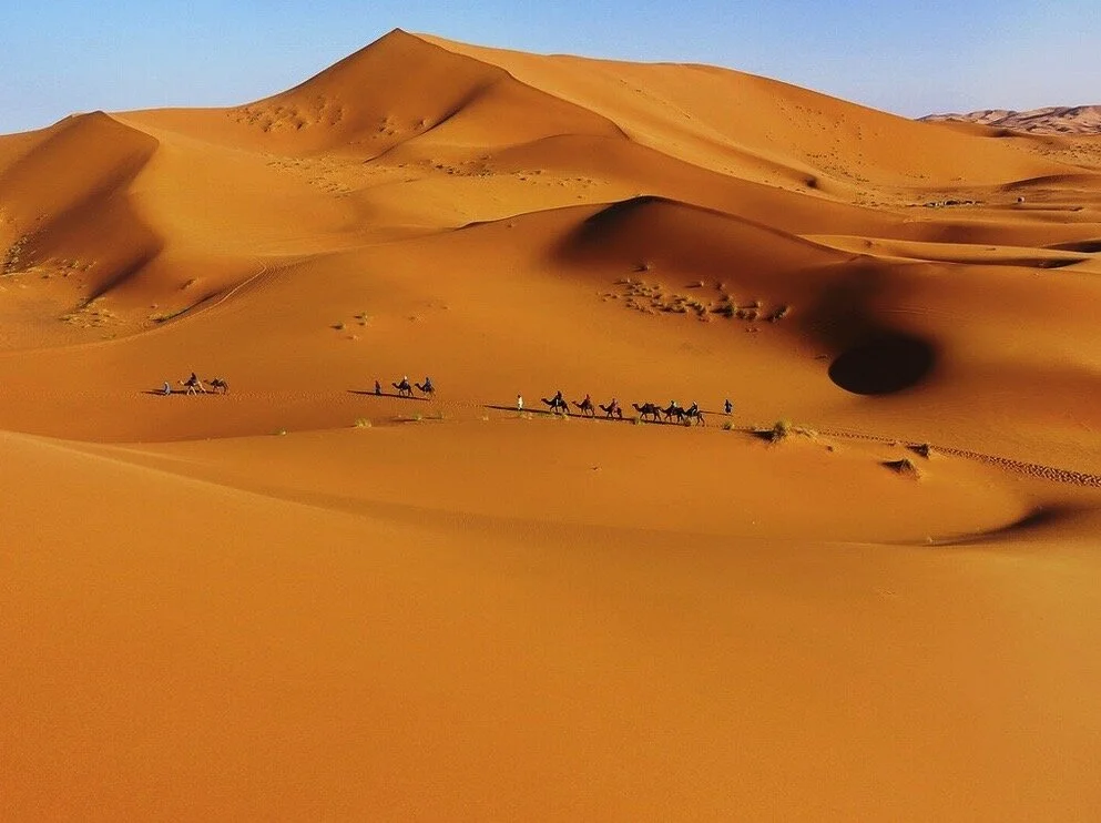 Image 16-09-2020 à 19.08.jpeg