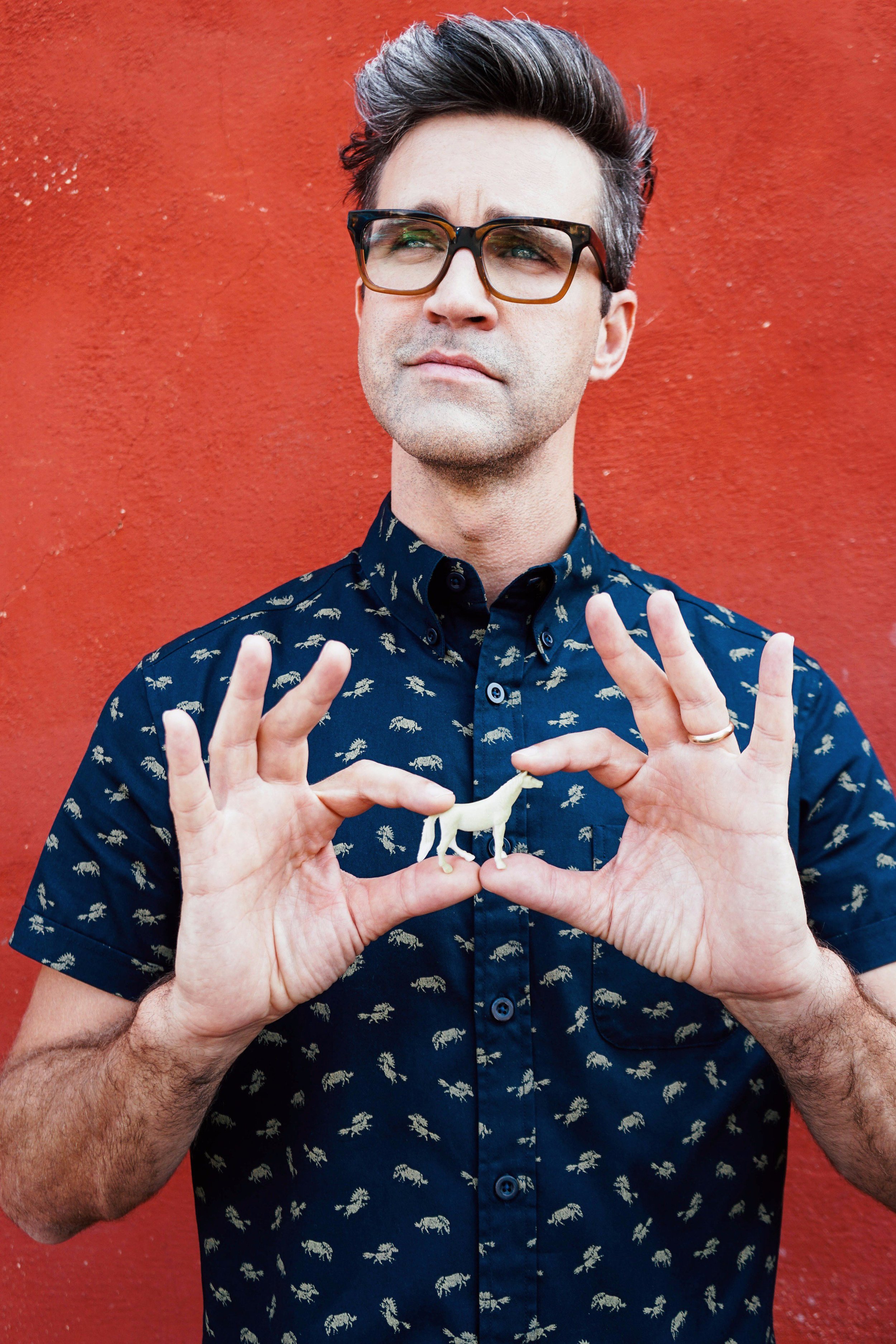 Link tiny horse shirt.jpeg