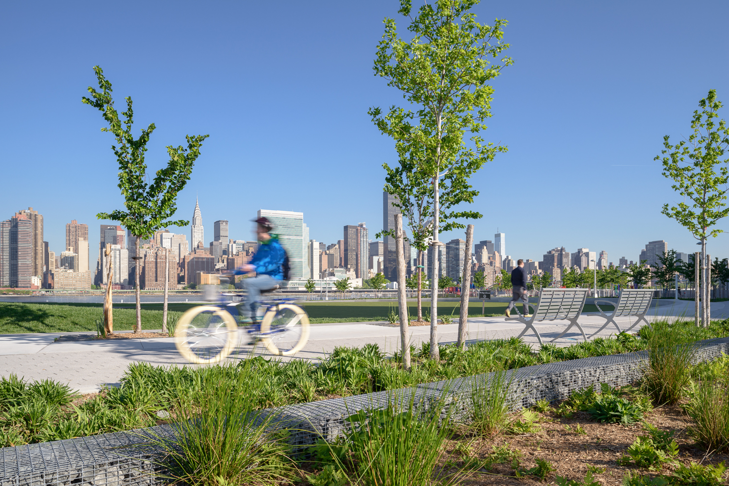 Hunter's Point South Park Green Infrastructure