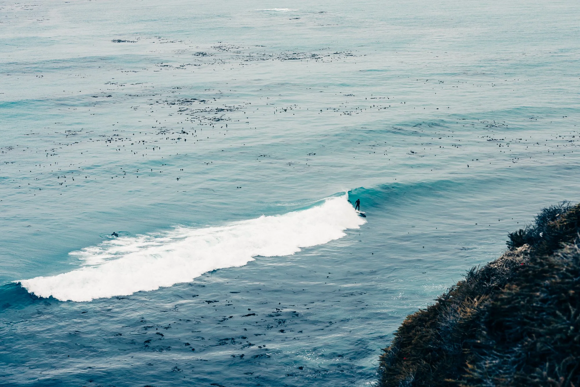 Cliffside
from $125