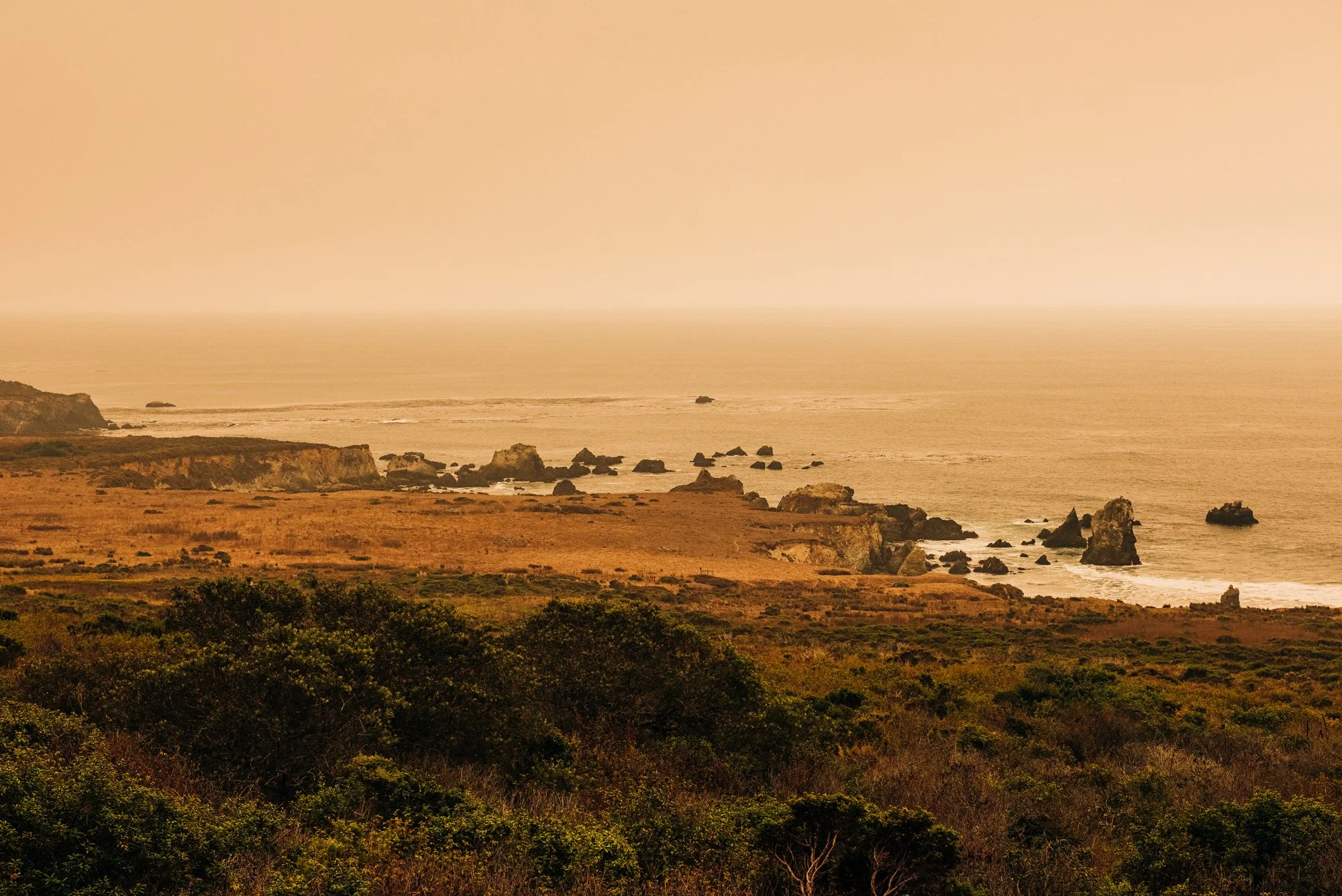 Wildfire Dusk
from $125