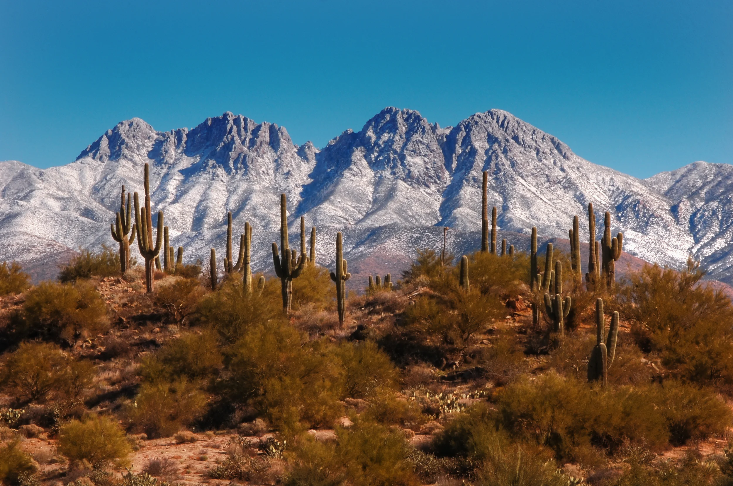 0747 Four Peaks IIII.jpg
