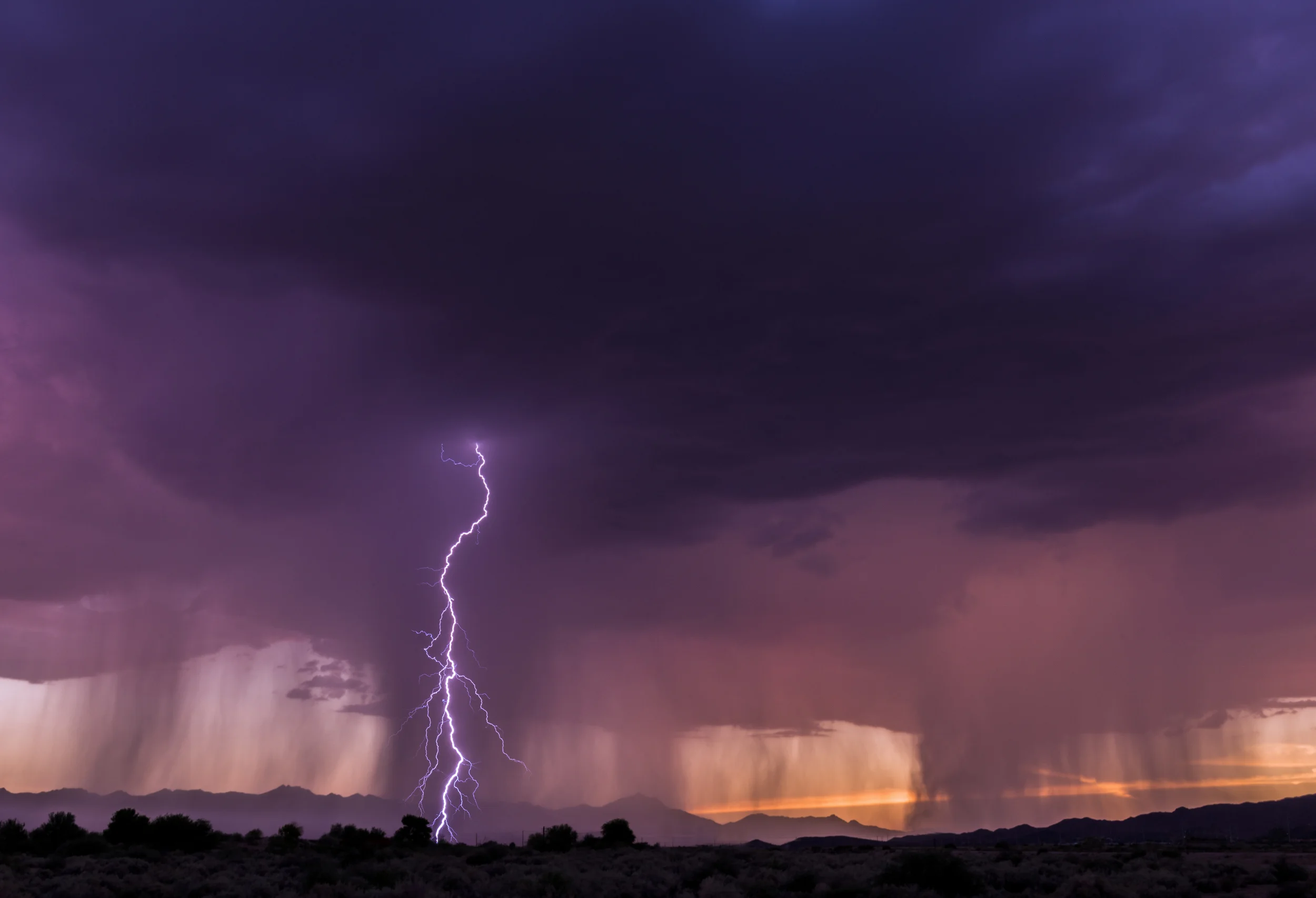 Desert Storm