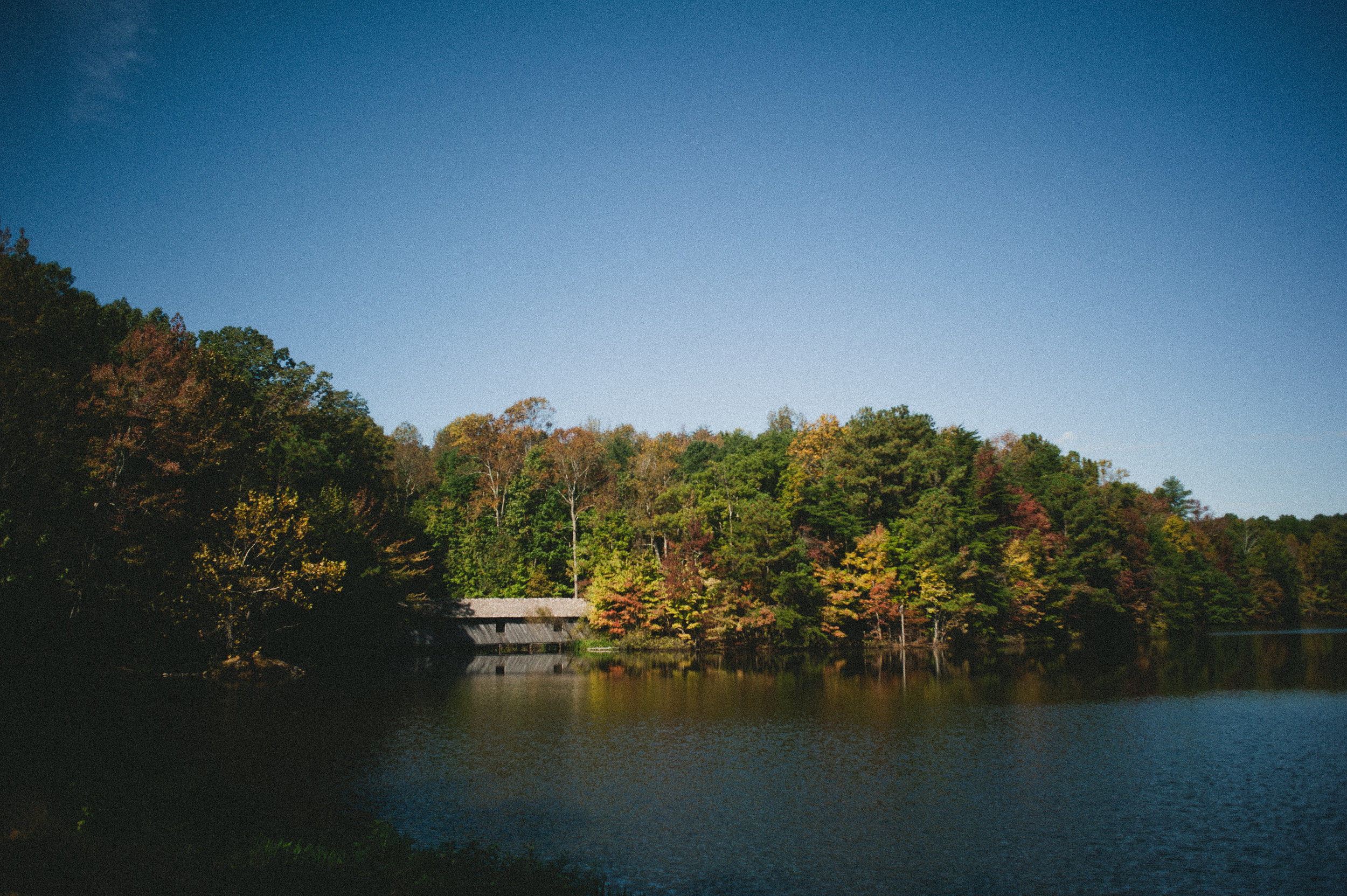 FALLLL20141.jpg