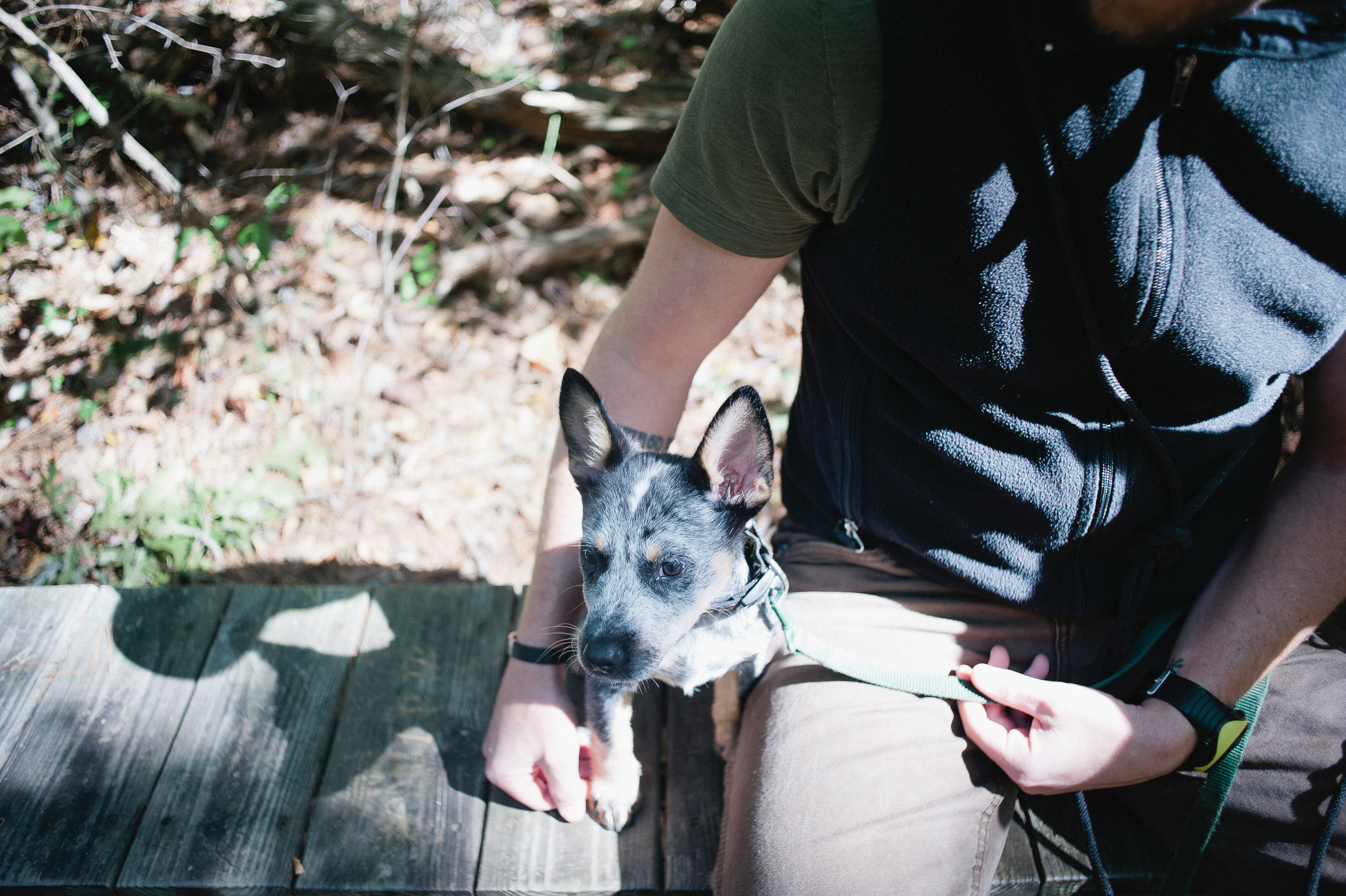 FALLLL201415.jpg