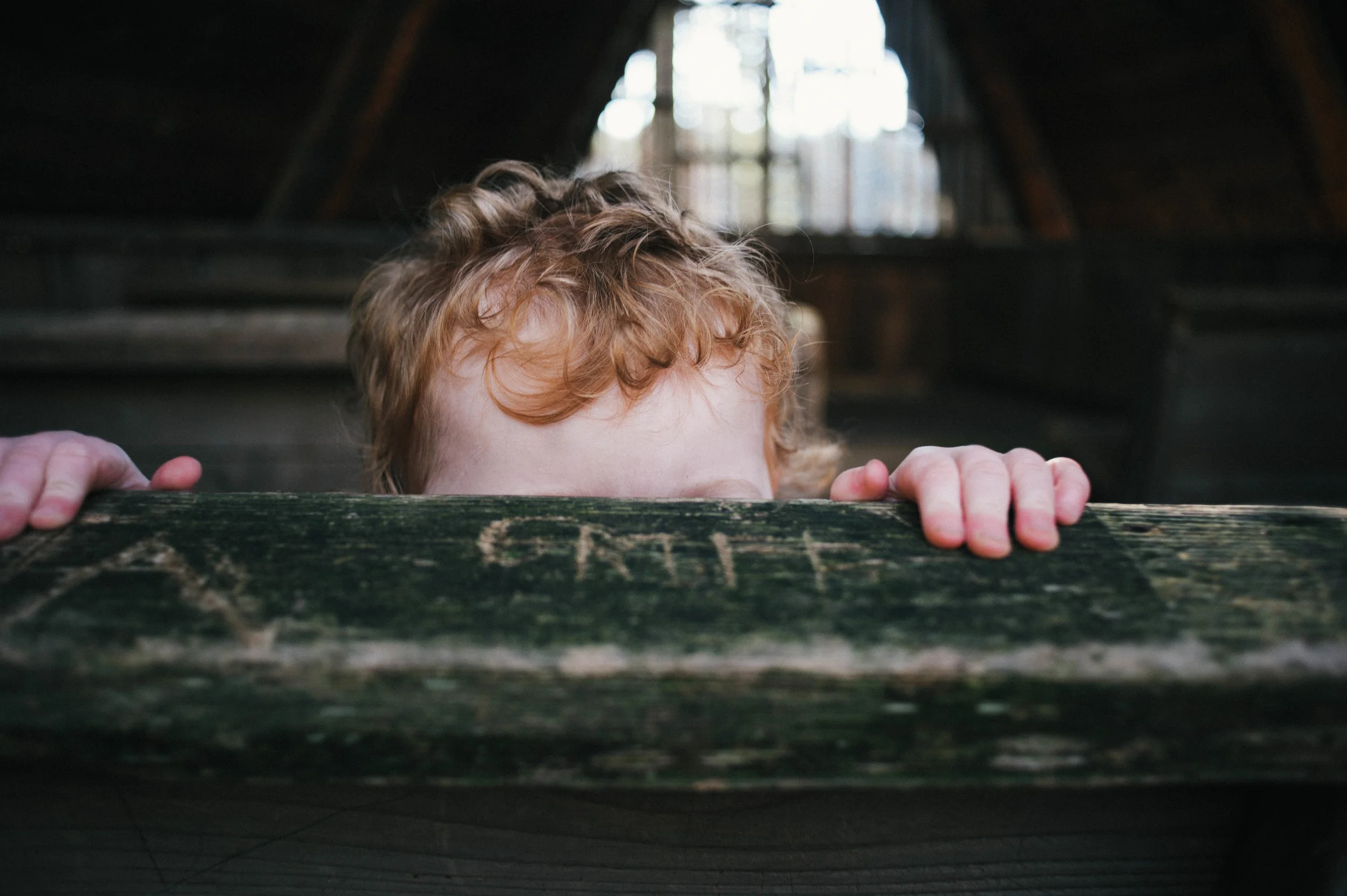 huntsville-alabama-family-photograher-green-mountain-asheville-north-carolina-family-photographer-read-head-tiwns
