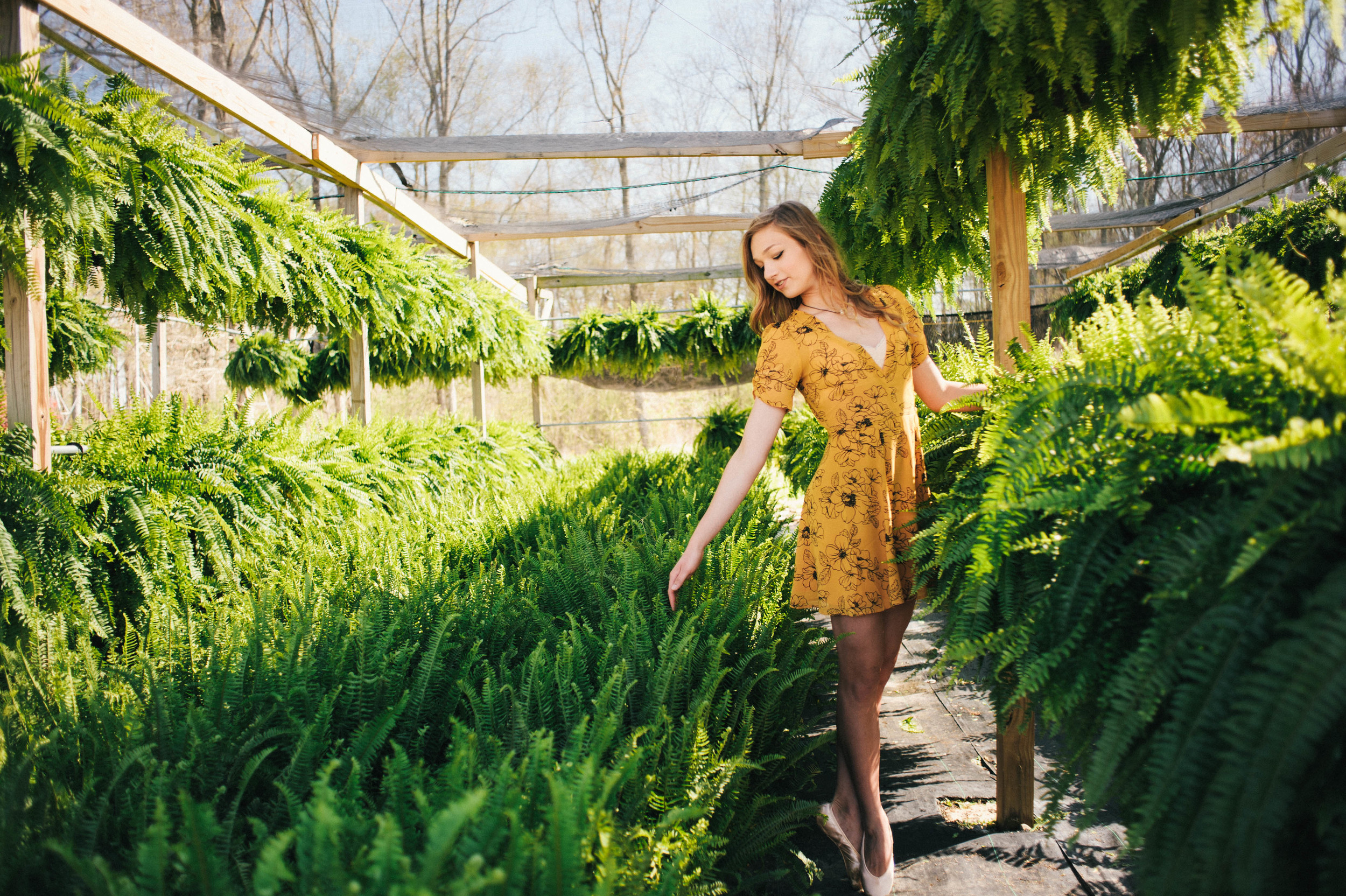 the-greenery-alabama-senior-session-in-greenhouse-ballerina-asheville-senior-photographer