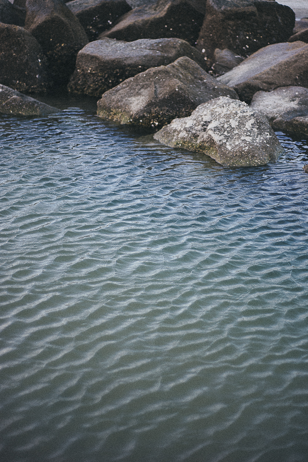 m.newsom-photography-savannah-wedding-photographer-tybee-island-photographer-kami-and-petra-july-2015 (1 of 39).jpg