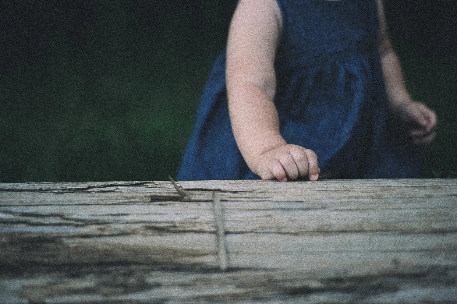 m-newsom-photography-savannah-georgia-family-photographer-oliver-family-2015 (61 of 73).jpg