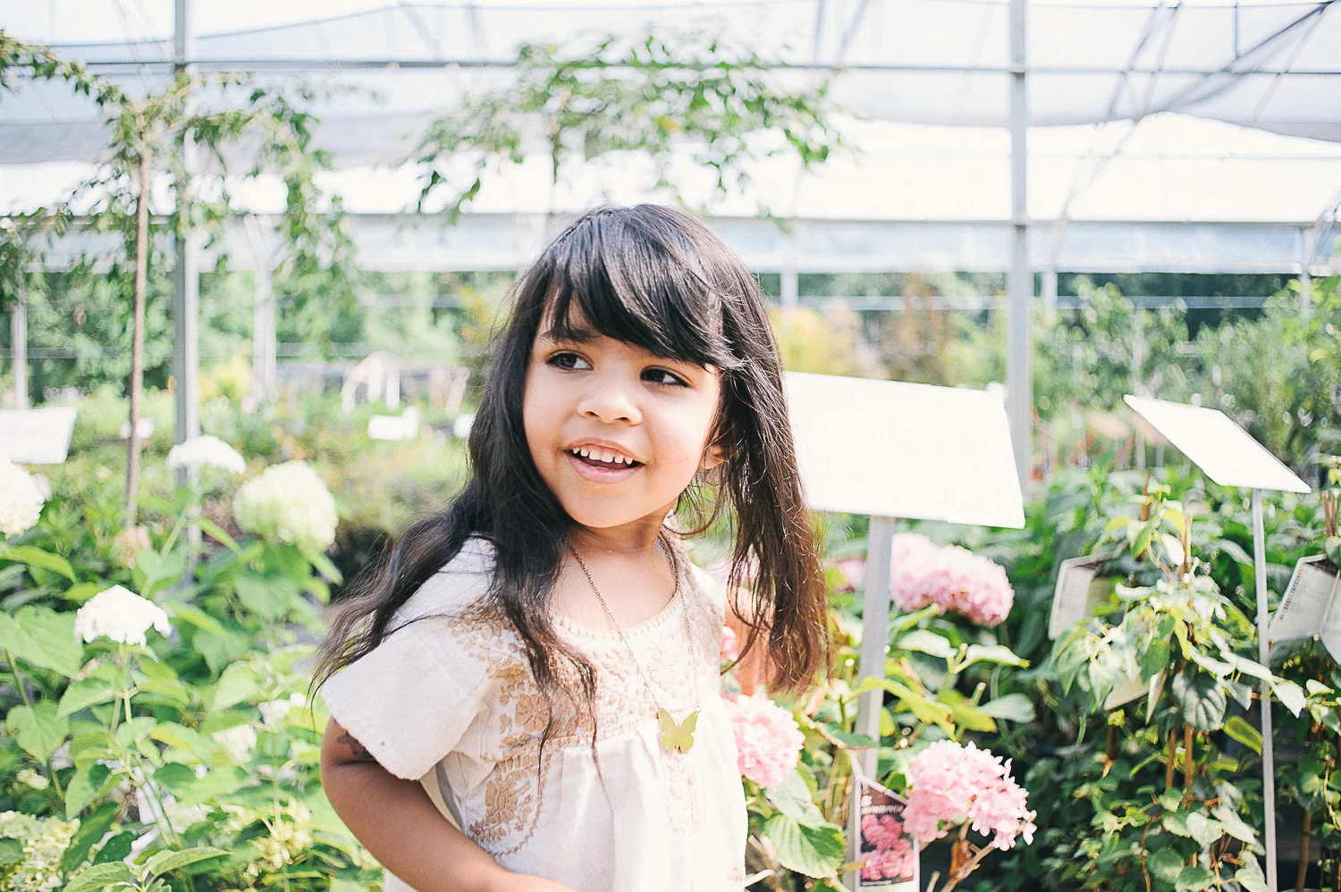 savannah-family-photographer-family-photographer-in-savannah-georgia-hazel-and-scout-m-mewsom-photography-family-photos-in-a-greenhouse-