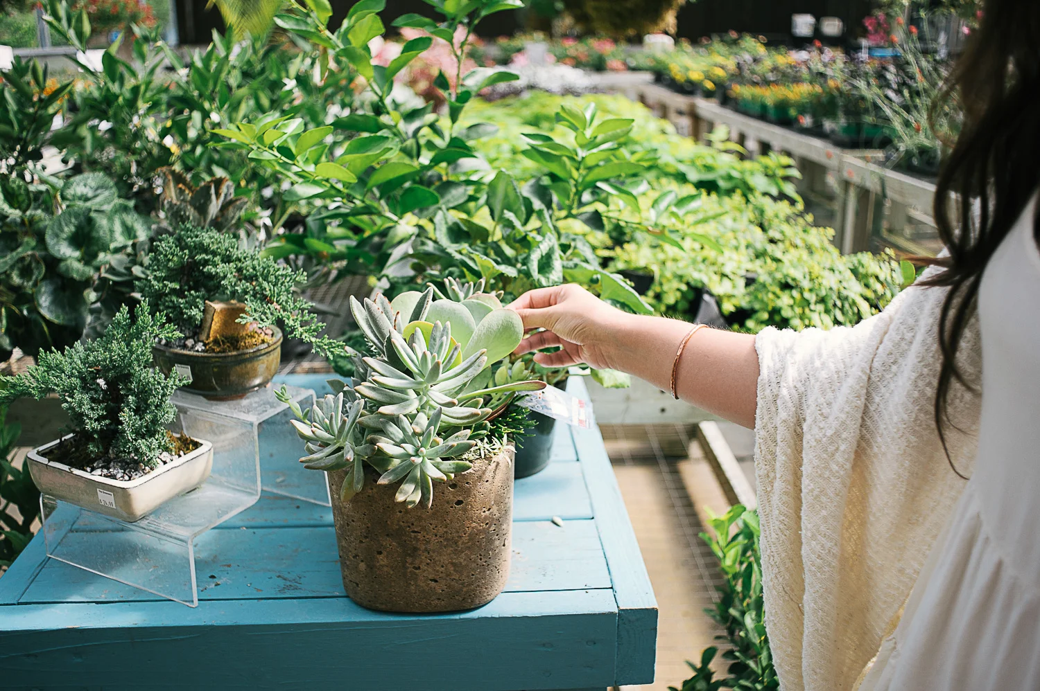 savannah-family-photographer-family-photographer-in-savannah-georgia-hazel-and-scout-m-mewsom-photography-family-photos-in-a-greenhouse-