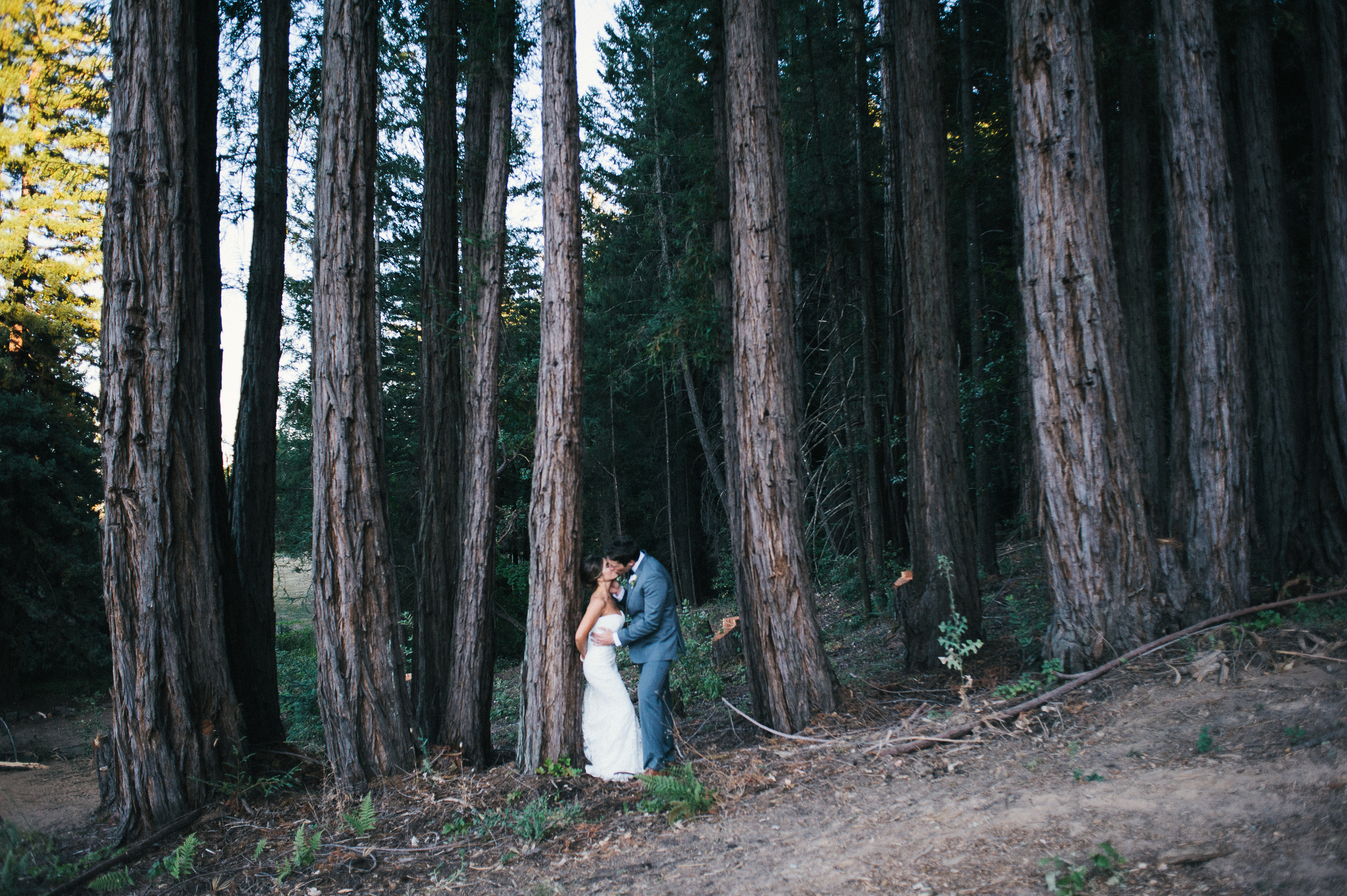 savannah-wedding-photographer-wedding-photographers-in-savannah-georgia-savannah-wedding-photographers-napa-valley-california-wedding-destination-photographer