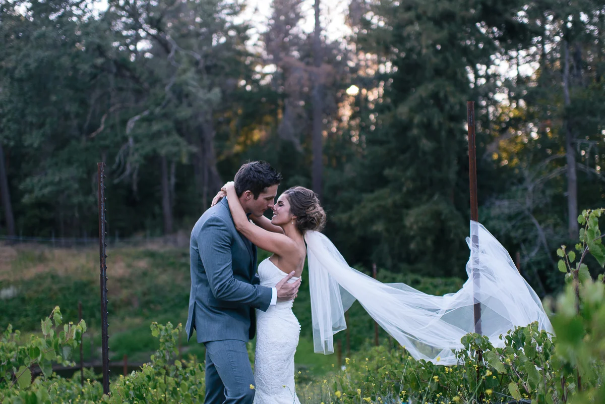napa-valley-wedding-napa-valley-wedding-photographer-wedding-photographer-in-napa-valley-m-newsom-photography-california-wedding-california-wedding-photographer-destination-wedding-photographer