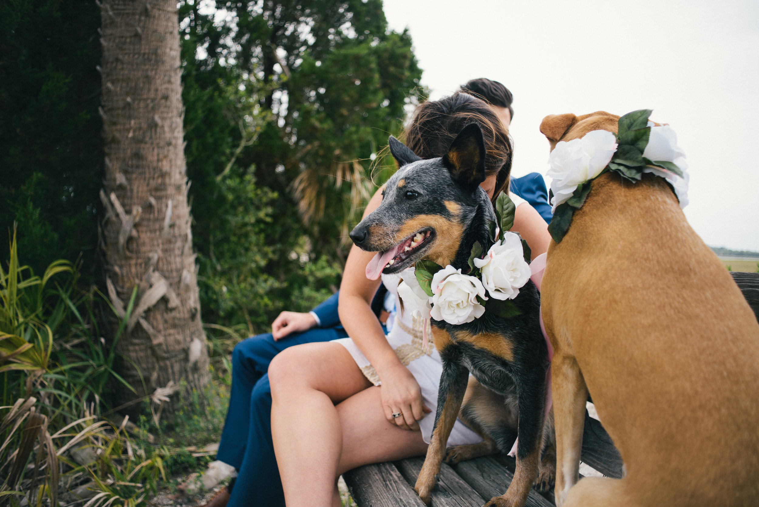 savannah-engagement-photographer-engagement-photographers-in-savannah-georgia-low-country-engagement-photographers