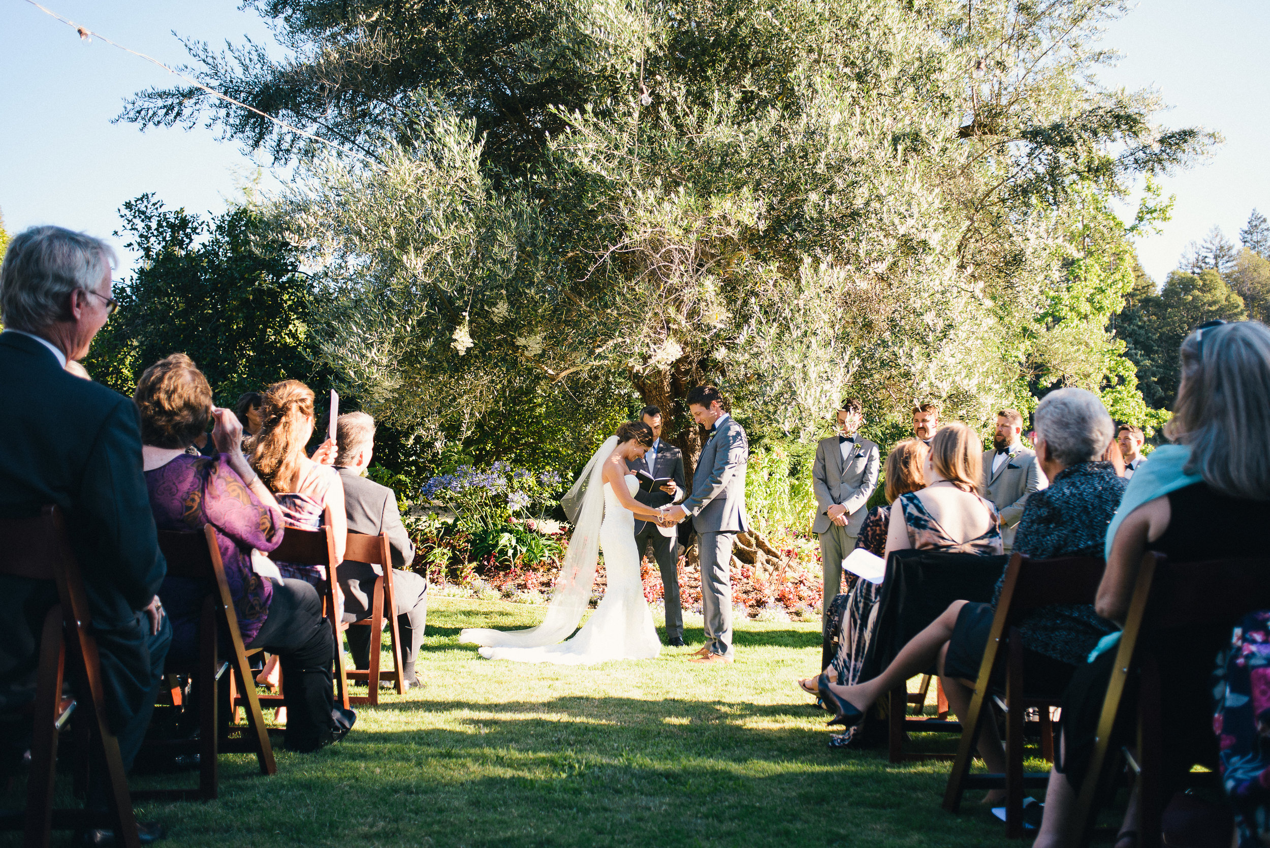 Chris and Kim's Napa Valley Wedding 