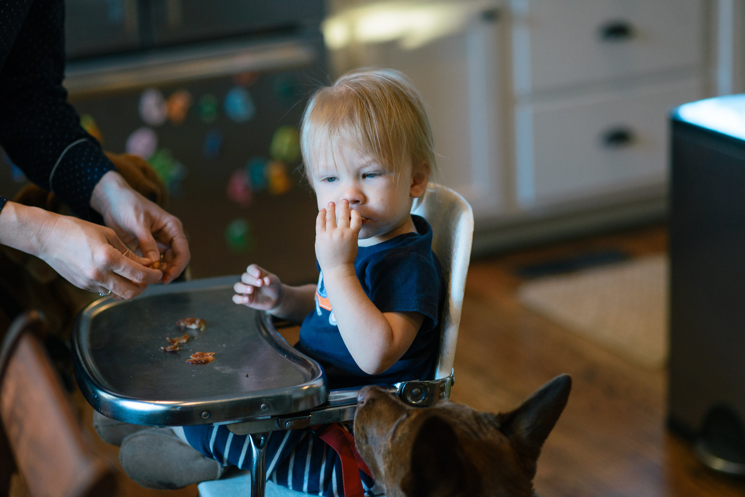 savannah-family-photographer-in-home-family-session-in-savannah-georgia-carborro-north-carolina-family-photographer