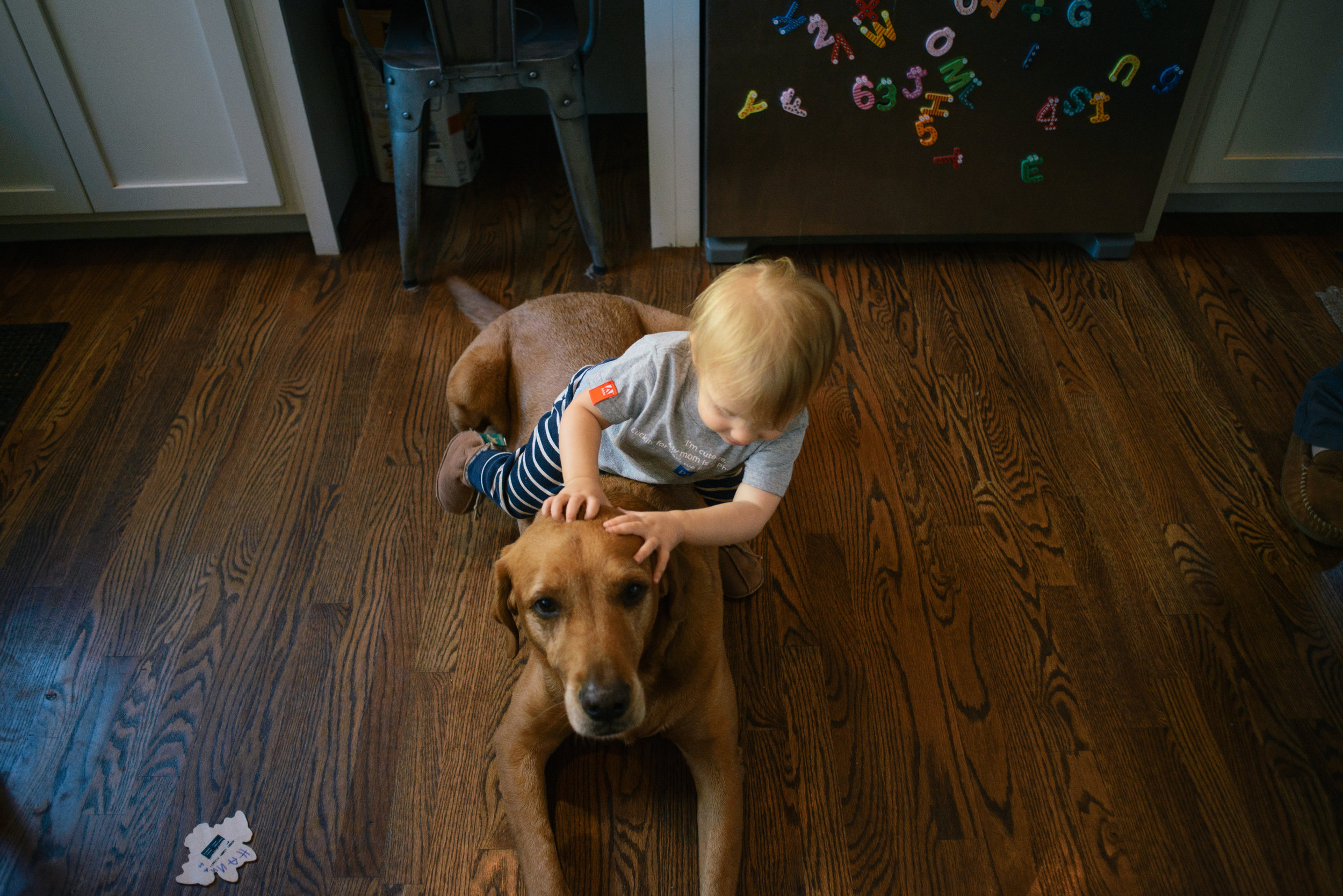 savannah-family-photographer-in-home-family-session-in-savannah-georgia-carborro-north-carolina-family-photographer