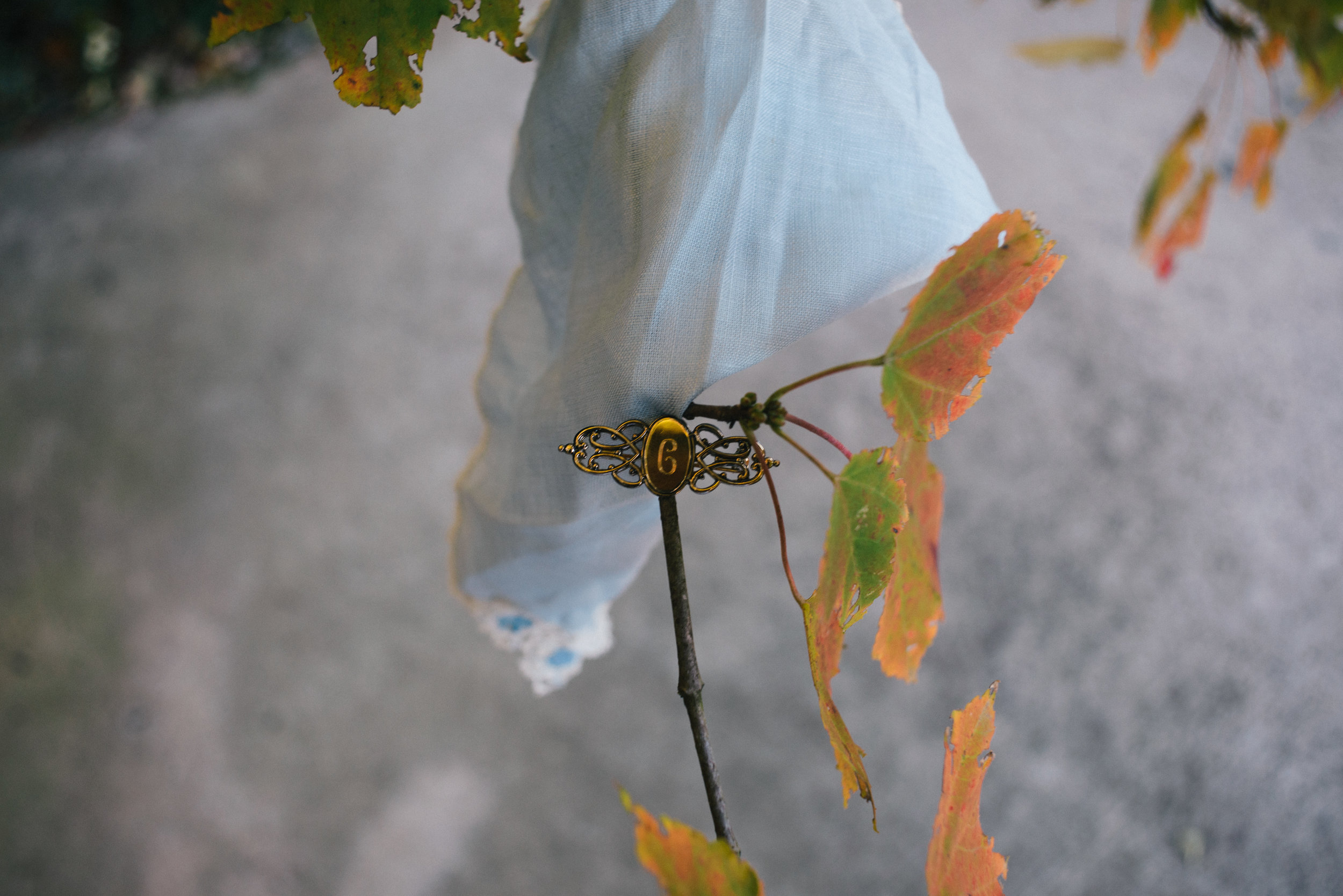 savannah-georgia-wedding-photographer-south-east-destination-wedding-photographer-meg-hill-photo-savannah-georgia-wedding-photographer