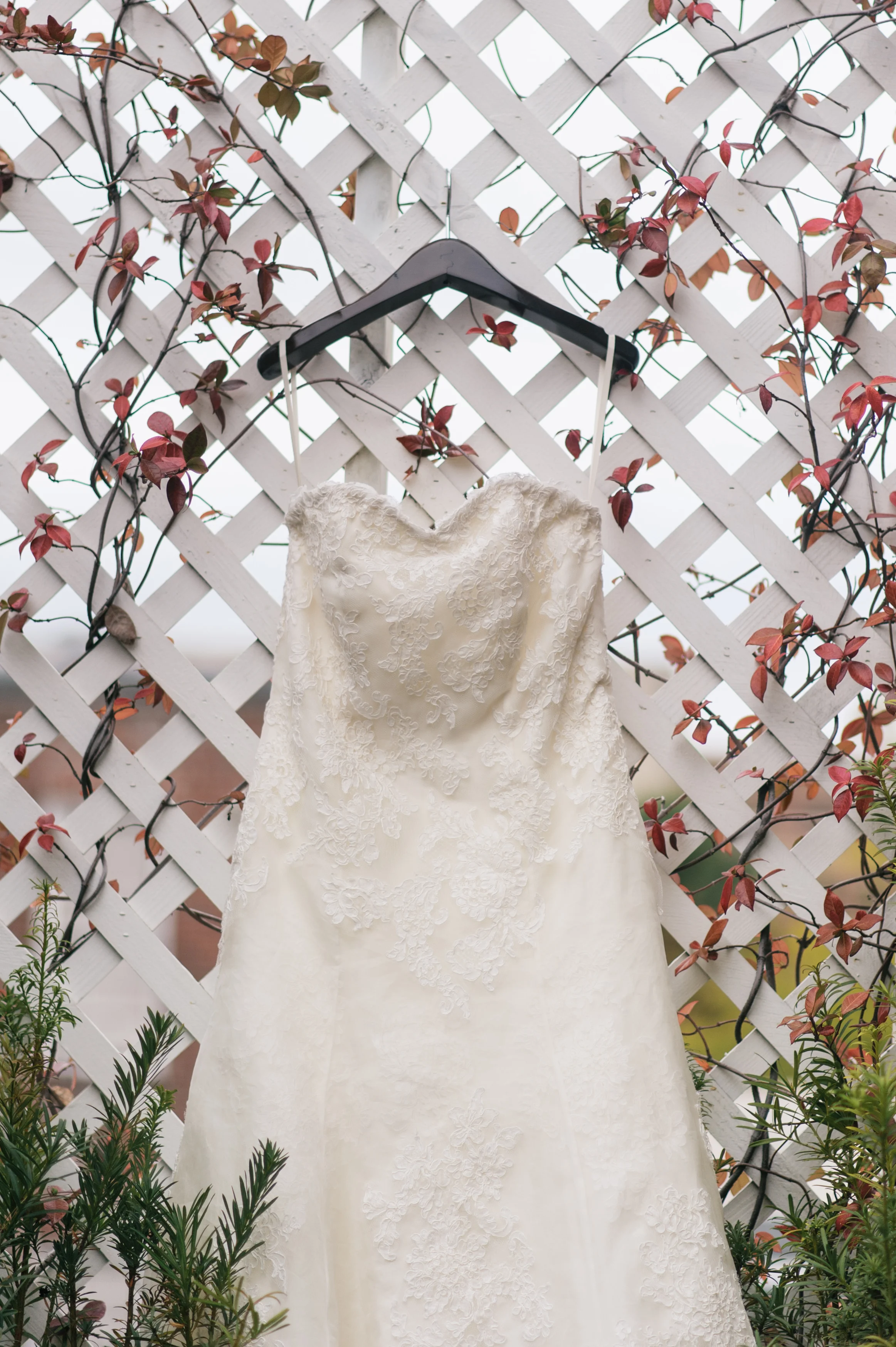 savannah-georgia-wedding-photographer-dear-joi-bridal-dress-savannah-wedding-wedding-photographer-savannah-georgia-