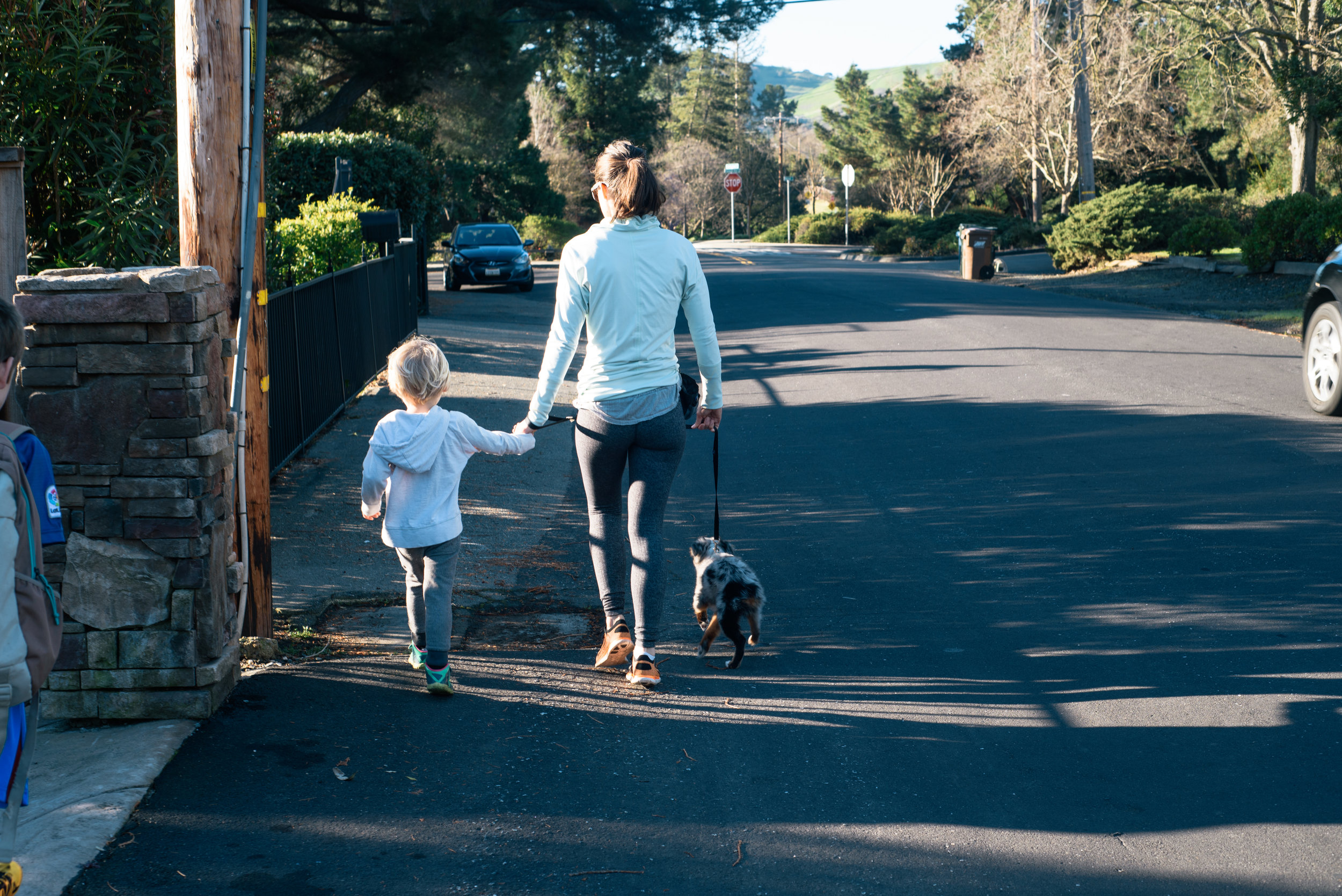 the-briemle-family-before-school-March-2017- (73 of 118).jpg