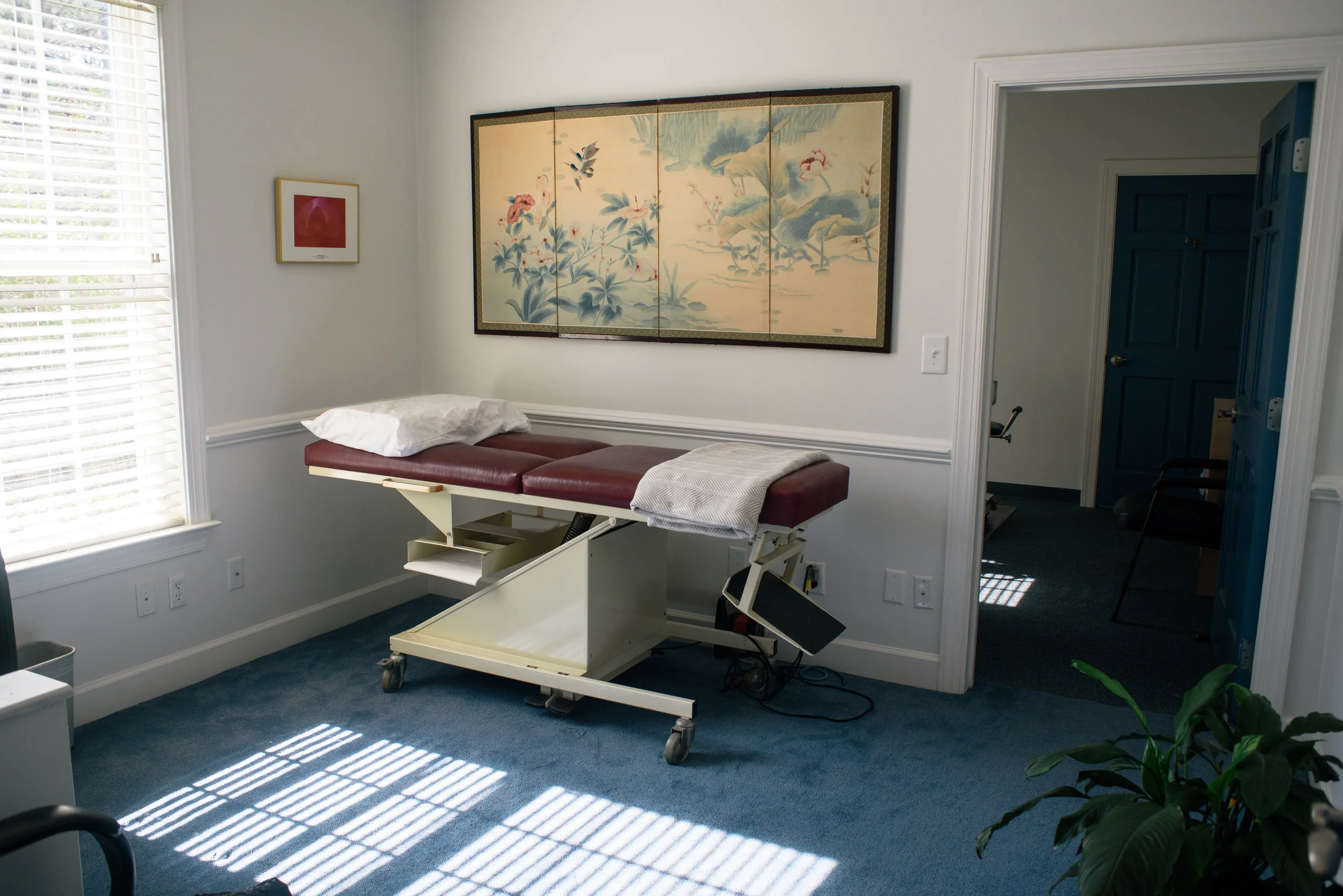 coastal-chiropractic-clinic-february-2017-meg-hill-photo- (108 of 741).jpg