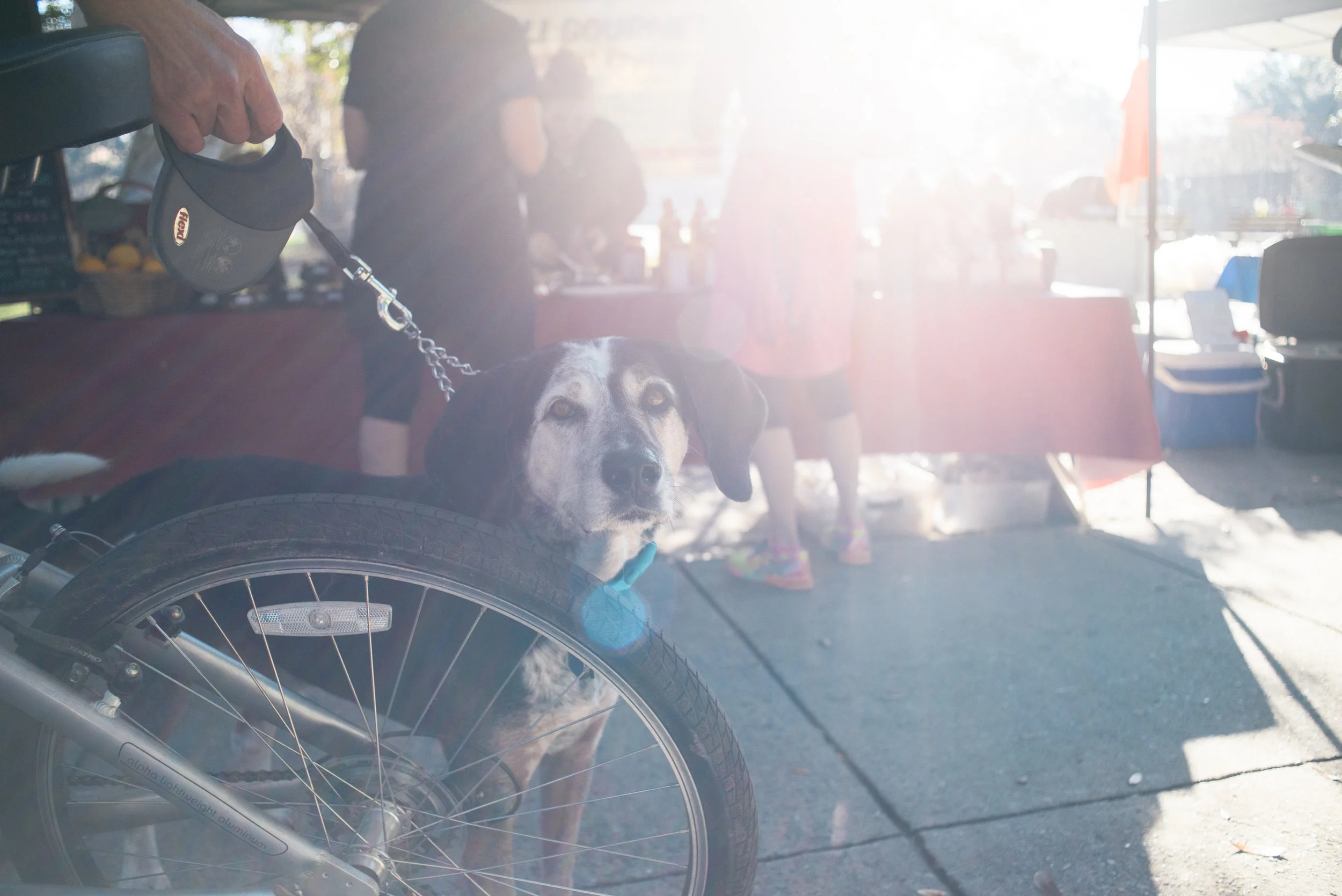 forsyth-farmers-market-january-14-2017-meg-hill-photo- (61 of 270).jpg