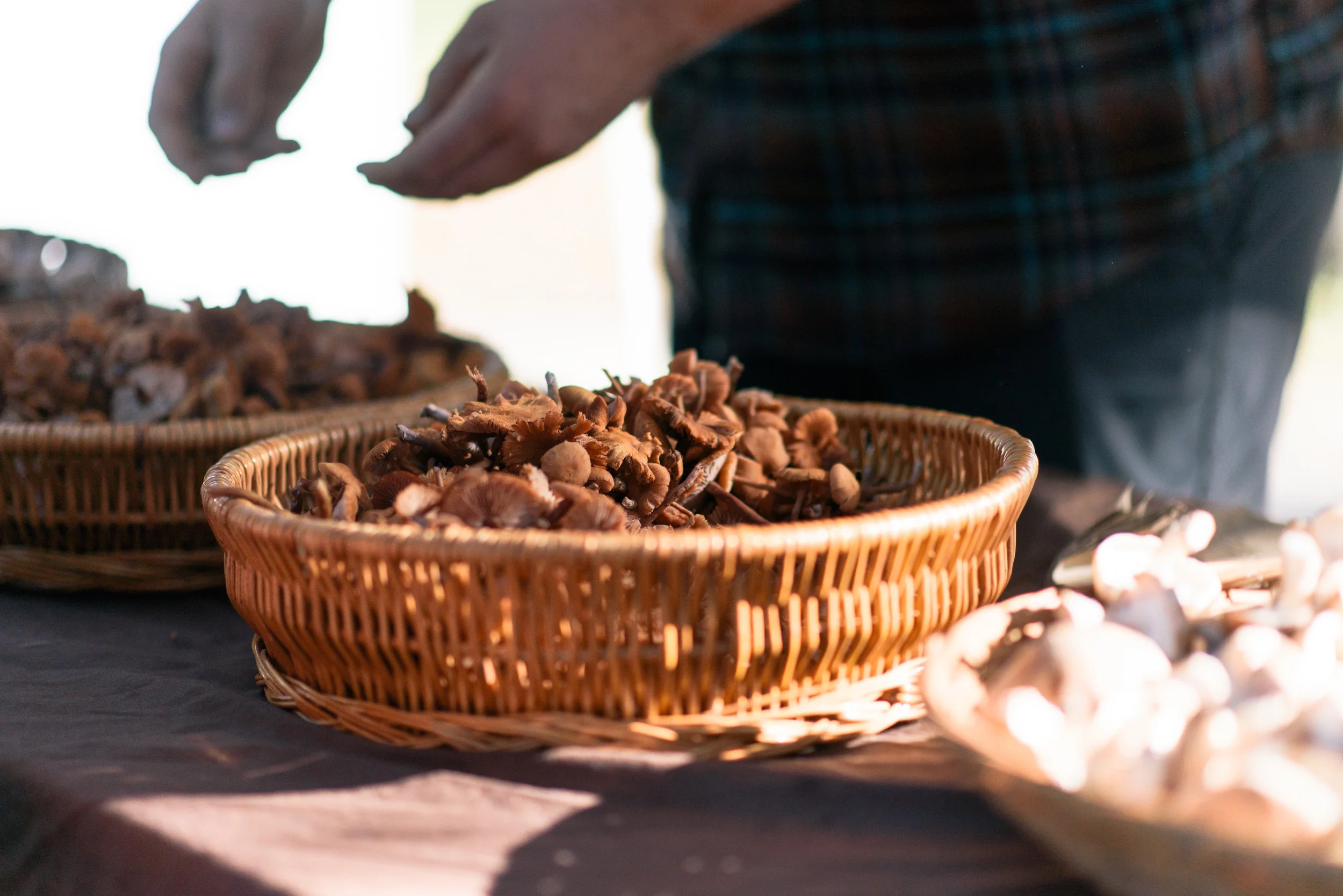 forsyth-farmers-market-january-14-2017-meg-hill-photo- (224 of 270).jpg