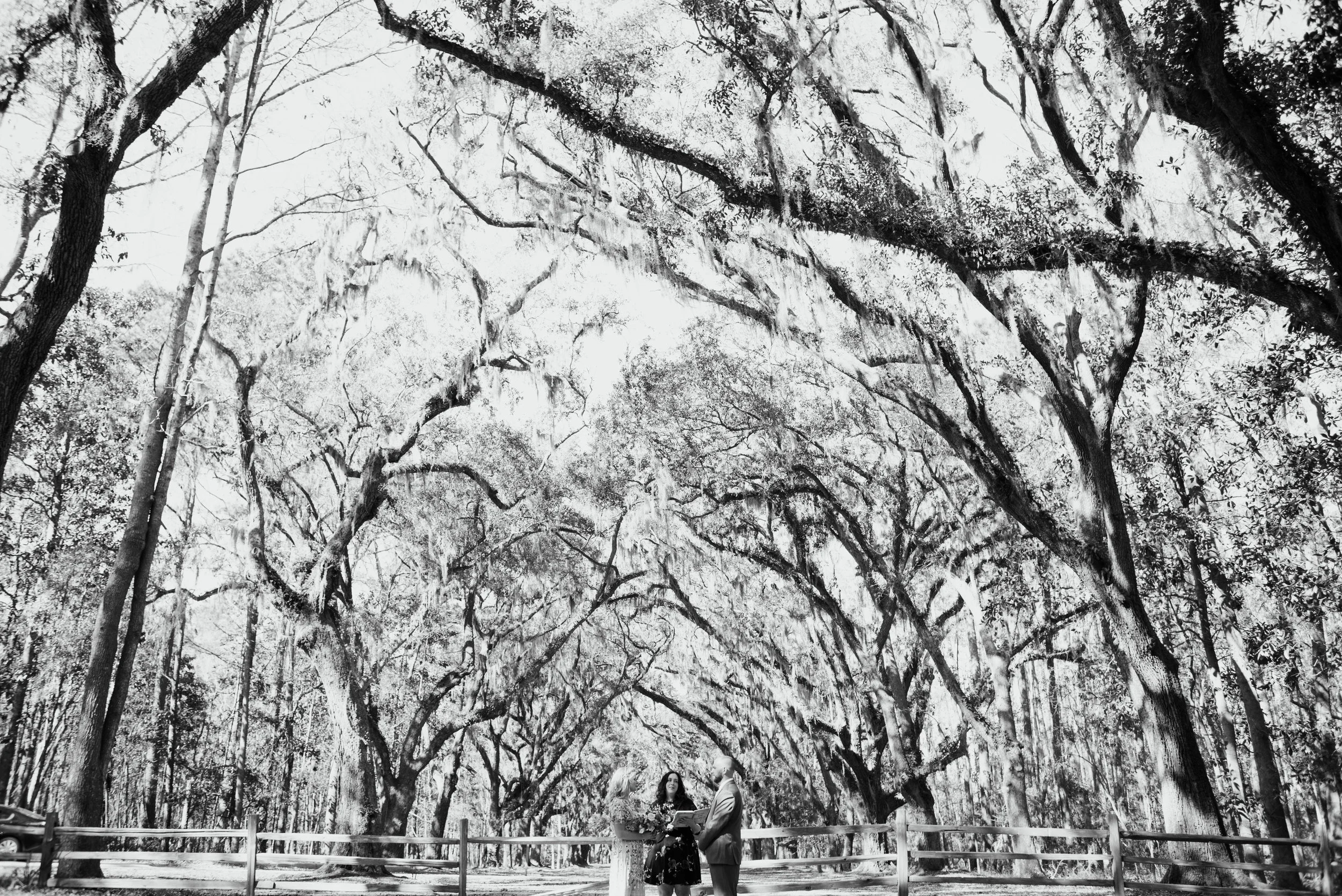 savannah-elopement-photographer-east-coast-elopement-photographer-intimate-wedding-photographer-savannah-georgia-wormsloe-elopement-photos-savannah-georgia
