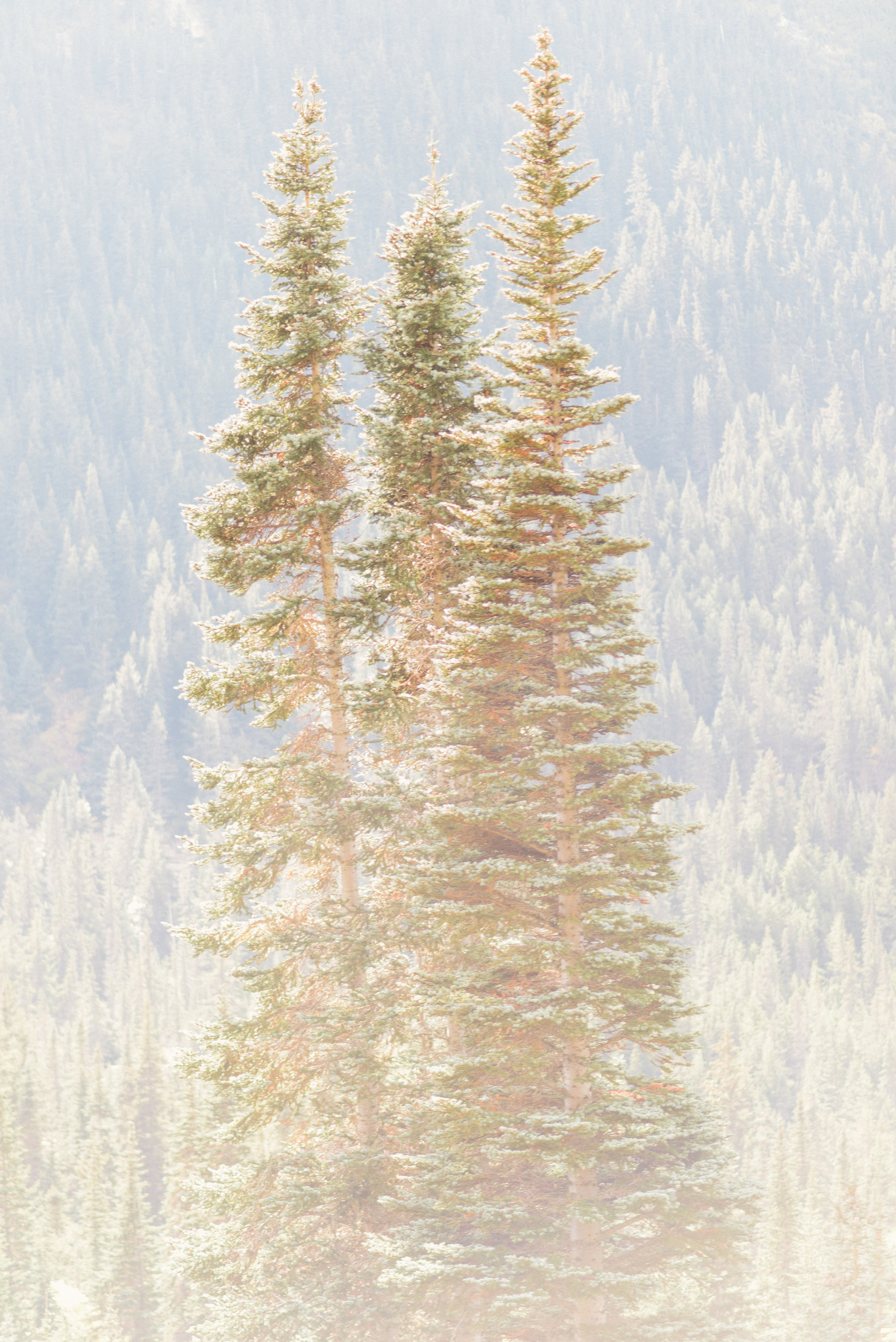 alaska-day-one-and-two- (35 of 82).jpg