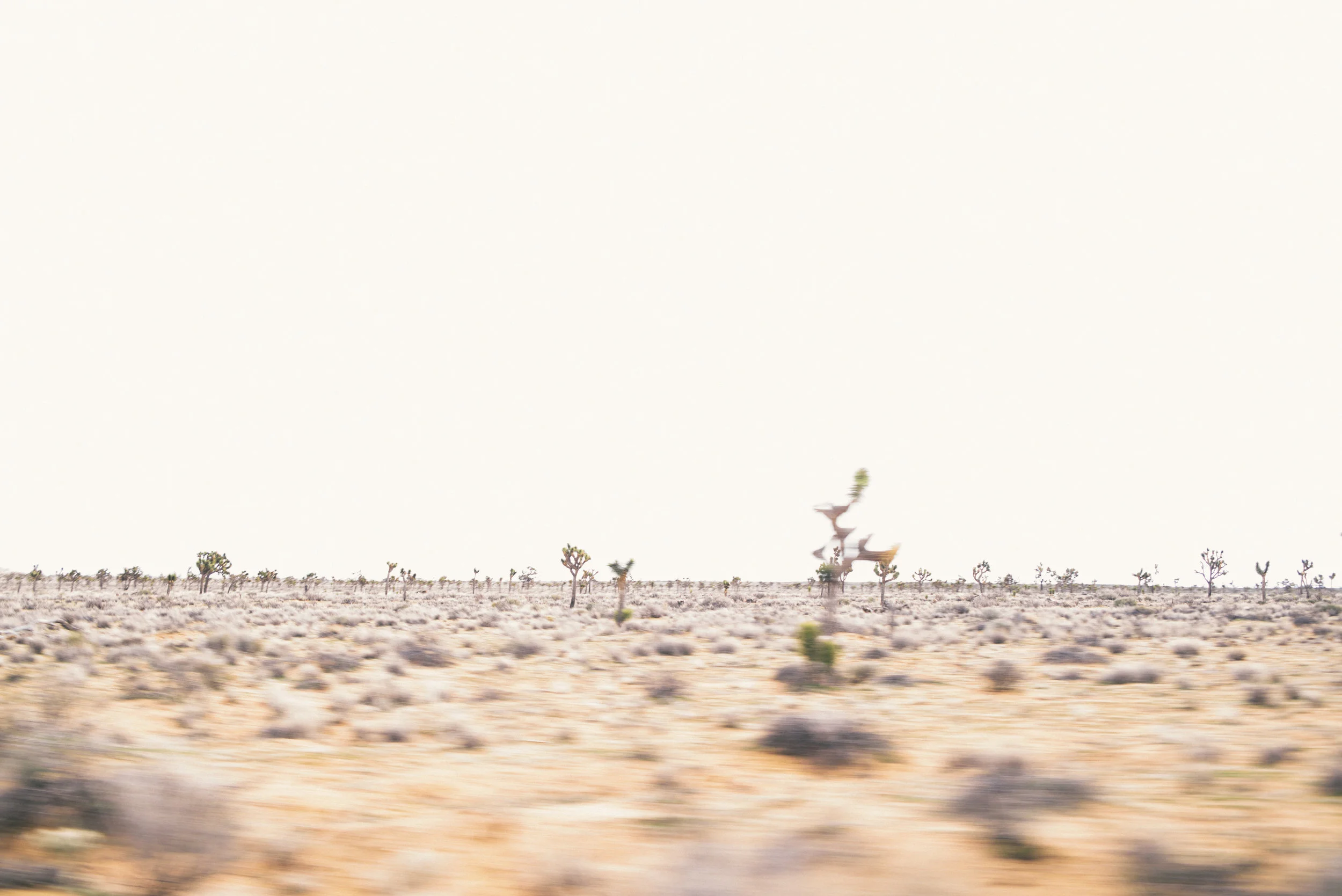 joshua-tree-road-trip-february-2017- (50 of 71).jpg