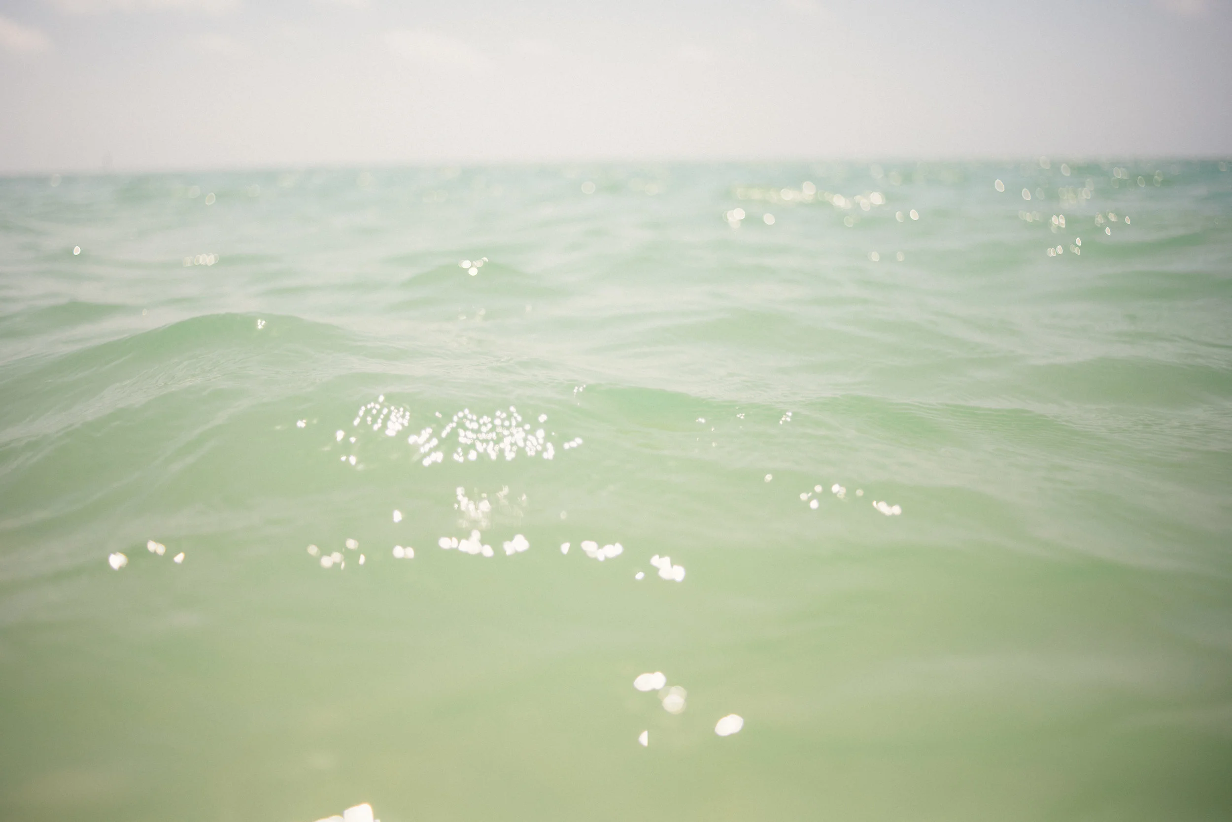 key-largo-vacation-april-2016- (36 of 137).jpg