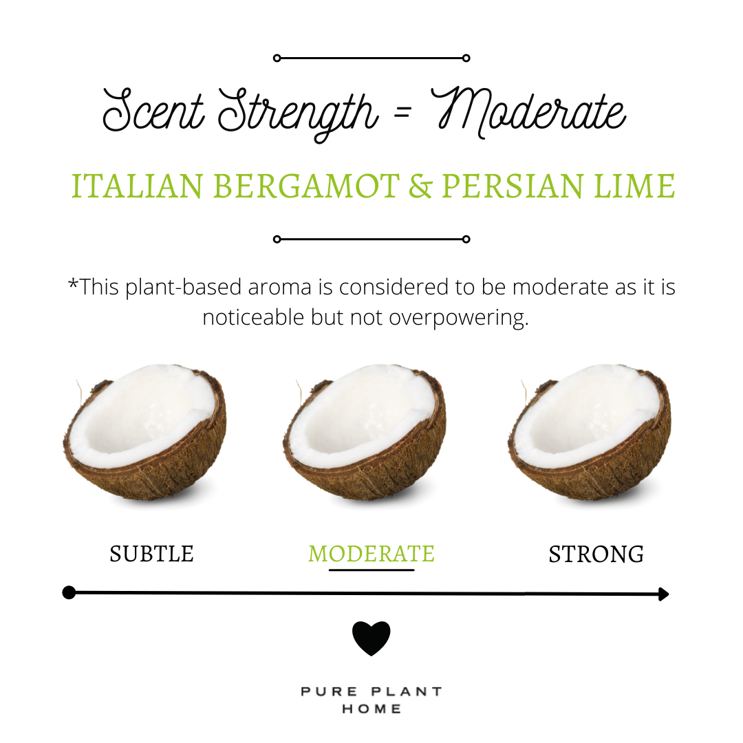 Copy of Copy of Copy of Copy of Scent Strength.png