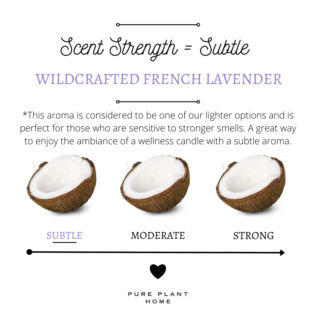 Copy of Copy of Copy of Copy of Scent Strength-2.png