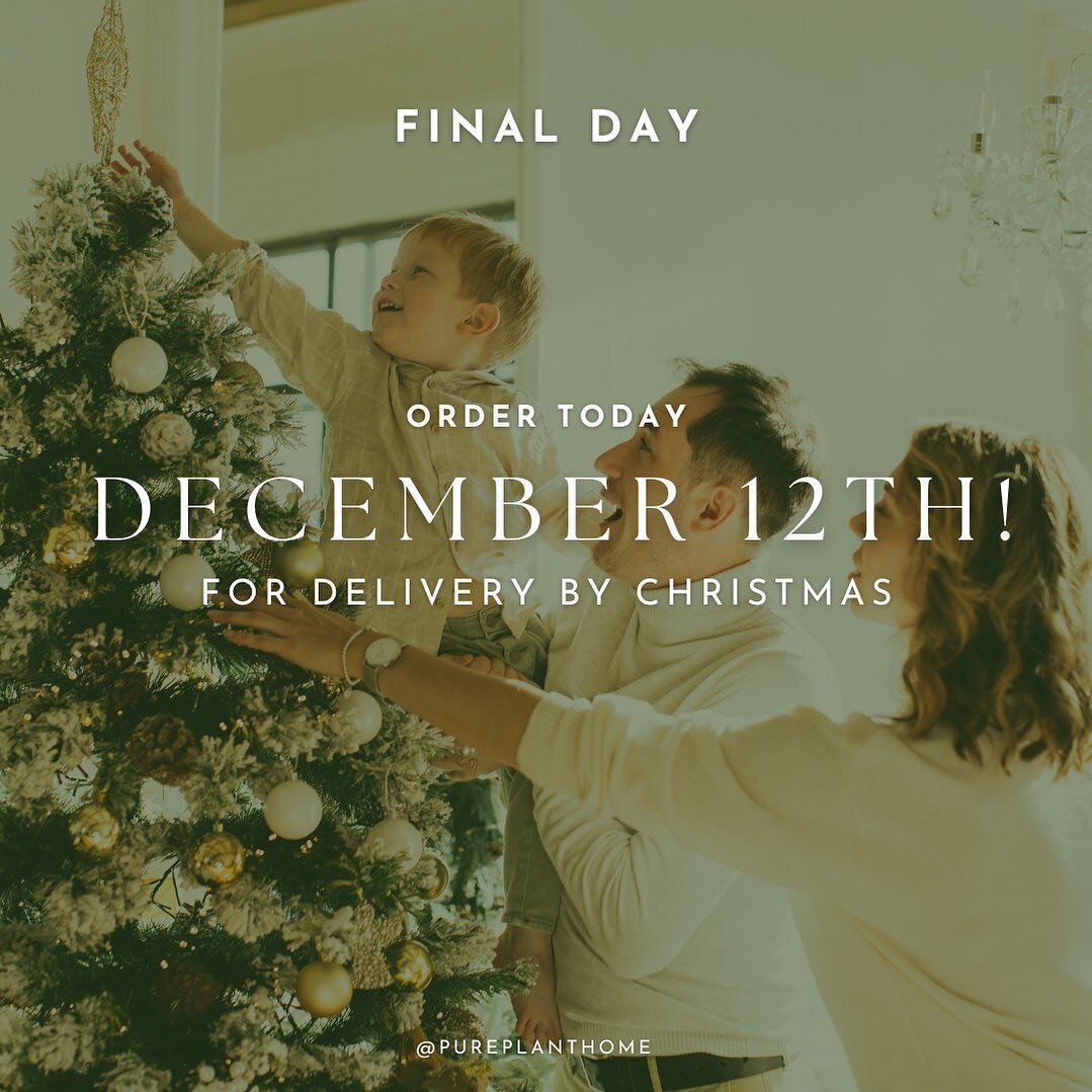 Today is the final day for guaranteed delivery by Christmas! With the holiday rush, shipping carriers can get delayed with the higher volume. To avoid any missed promises, our holiday shipping cutoff is December 12th! We will continue to ship orders 