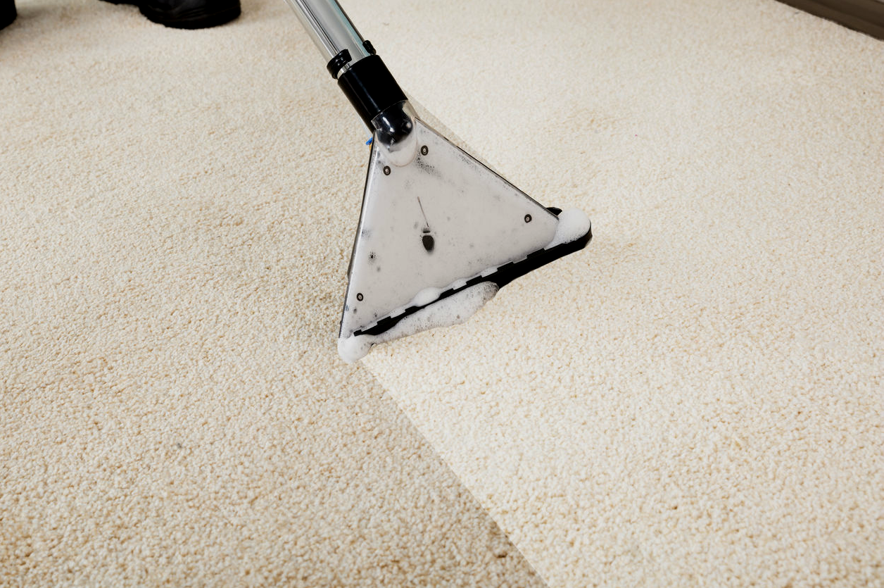 Carpet cleaning Wilmington NC