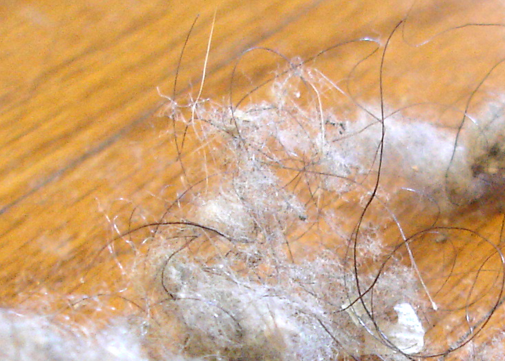 Three reasons why dusting is important — Out of Sight Cleaning