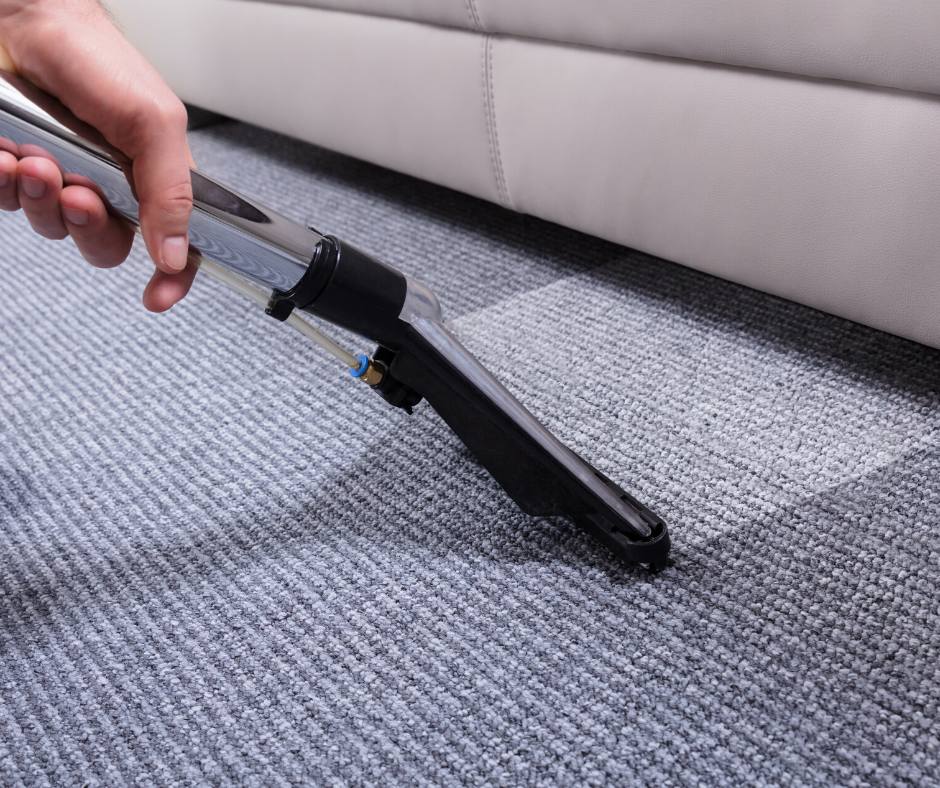 Vomit Carpet Cleaning Tips — Out of Sight Cleaning