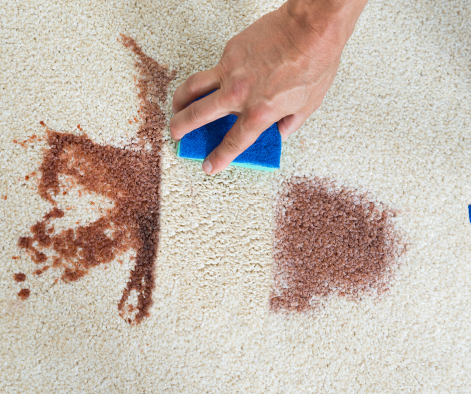 Preventing Carpet Stains In Your Home Out Of Sight Cleaning