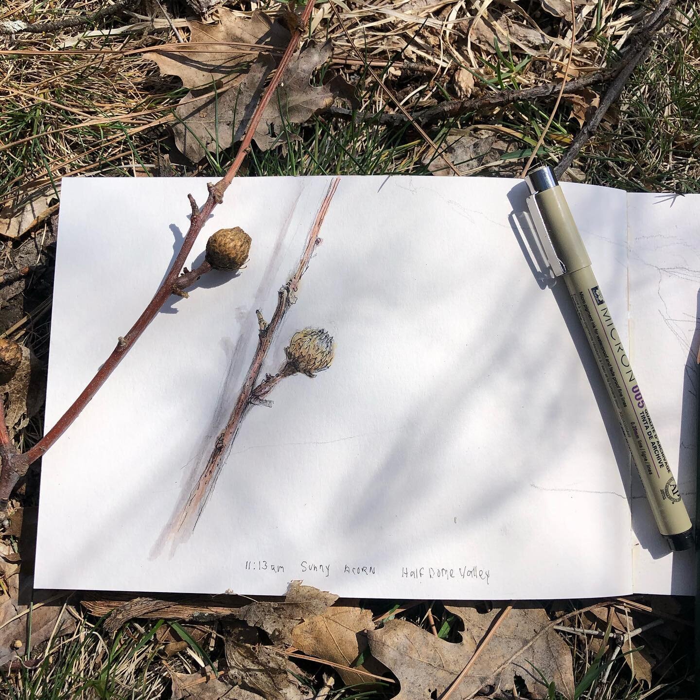 Field sketching. #artinyosemite #yosemitenationalpark