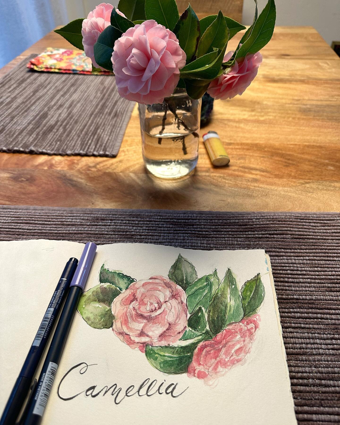 Camellia&rsquo;s blooming in the front of the house. #watercolorpainting #brushlettering #sundayart