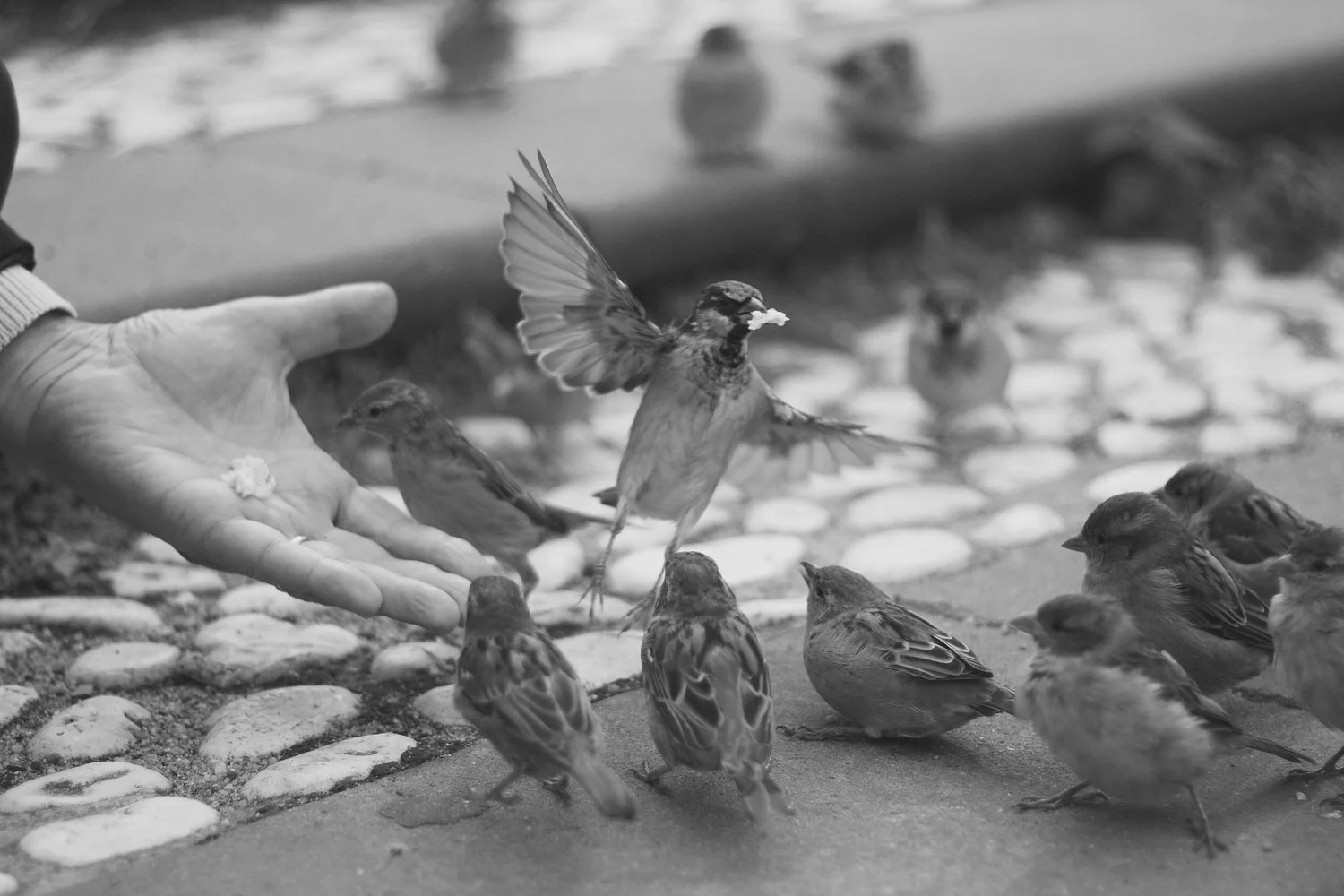 5 tips for tapping the power of corporate giving